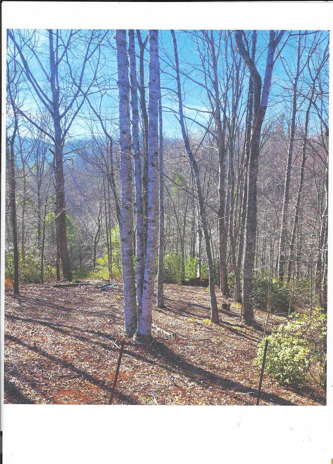 Lot #4 Windy Cove Lane Property Photo 6