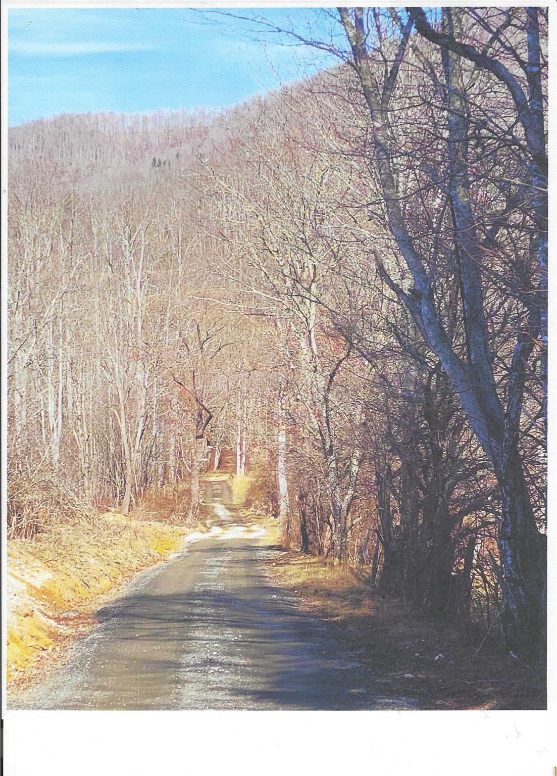 Lot #4 Windy Cove Lane Property Photo 7