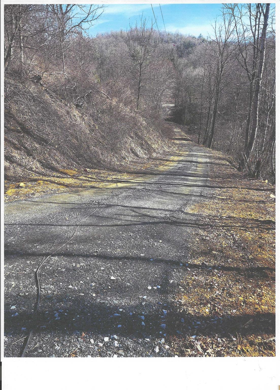 Lot #4 Windy Cove Lane Property Photo 8