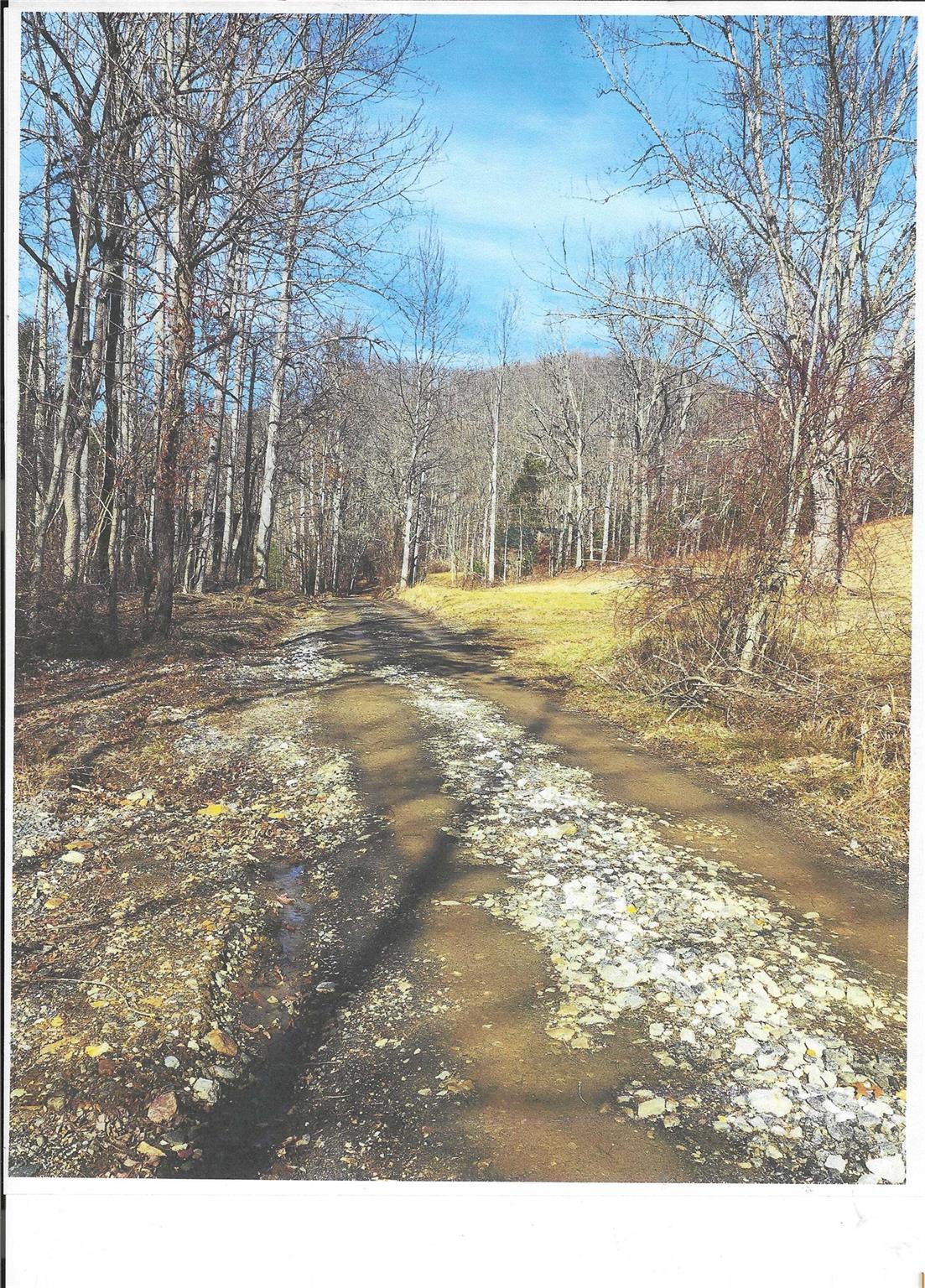Lot #4 Windy Cove Lane Property Photo 9