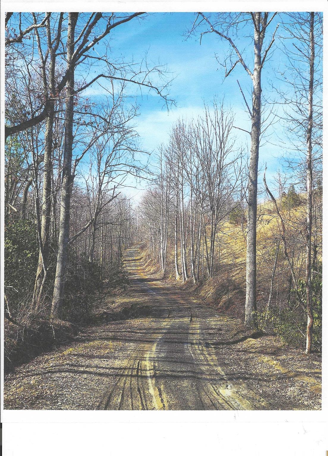 Lot #4 Windy Cove Lane Property Photo 10