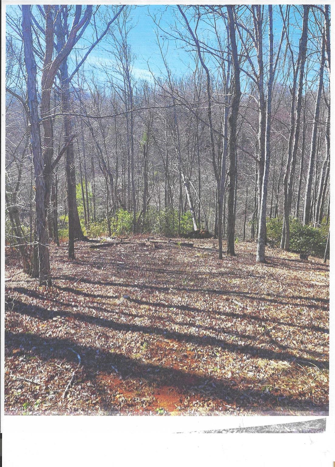 Lot #4 Windy Cove Lane Property Photo 11