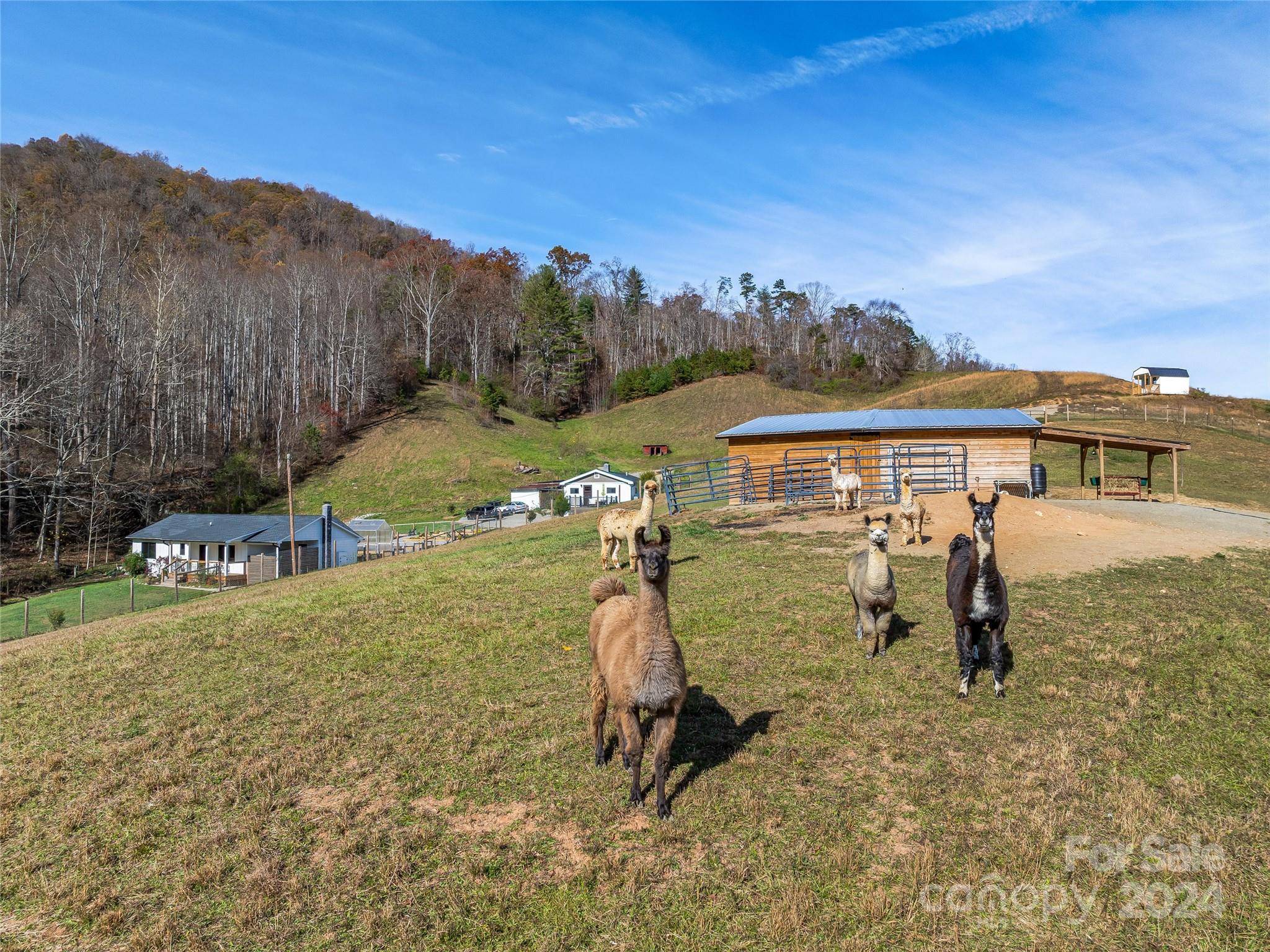 435 N N Turkey Creek Road Property Photo 12