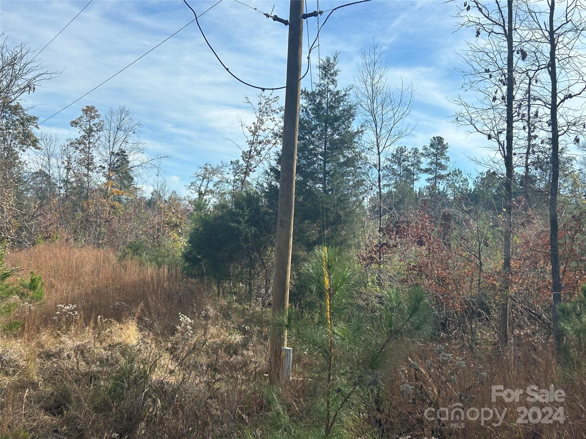 14 Ac Quail Hollow Circle Property Photo 2