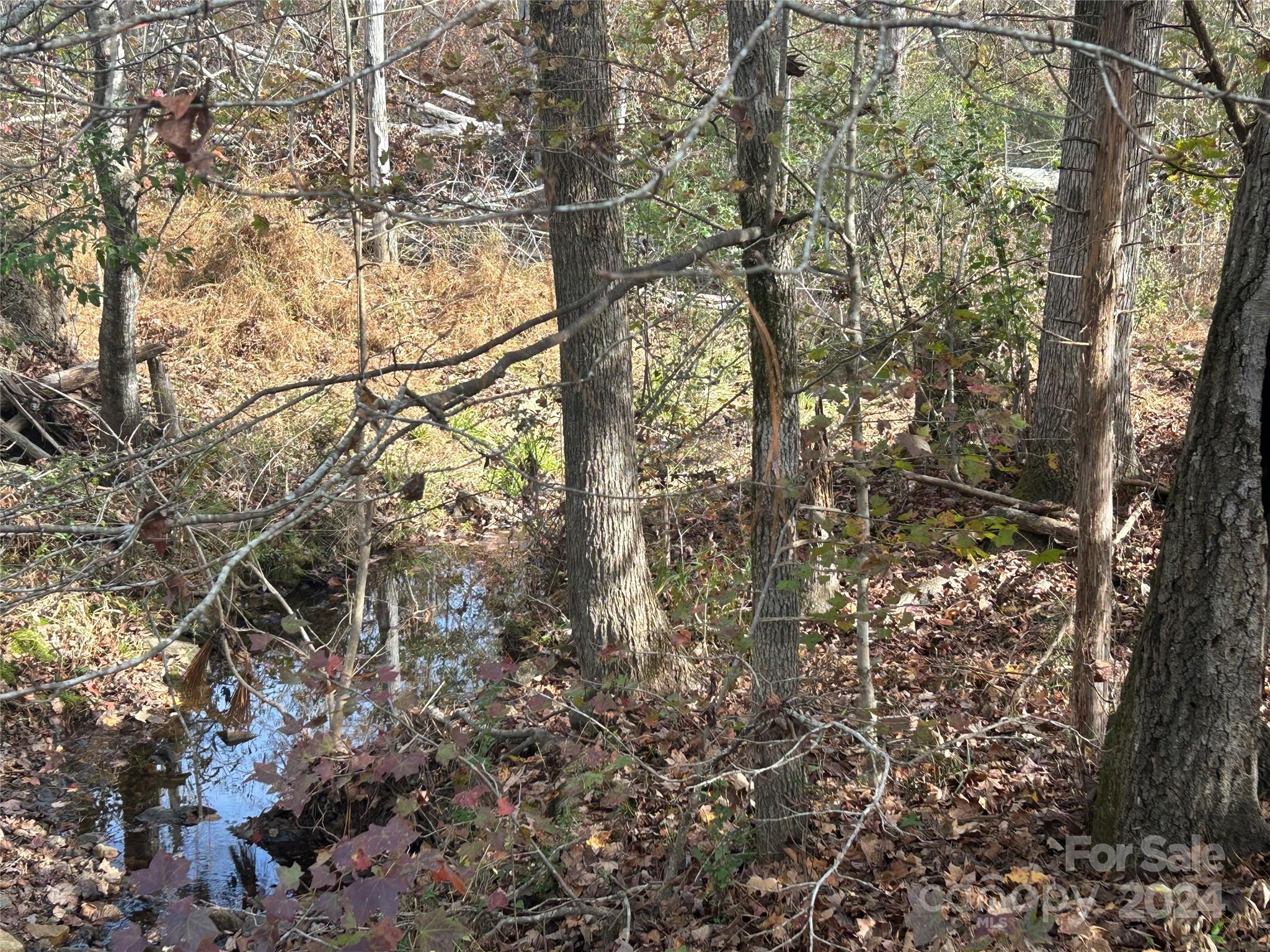 14 Ac Quail Hollow Circle Property Photo 3