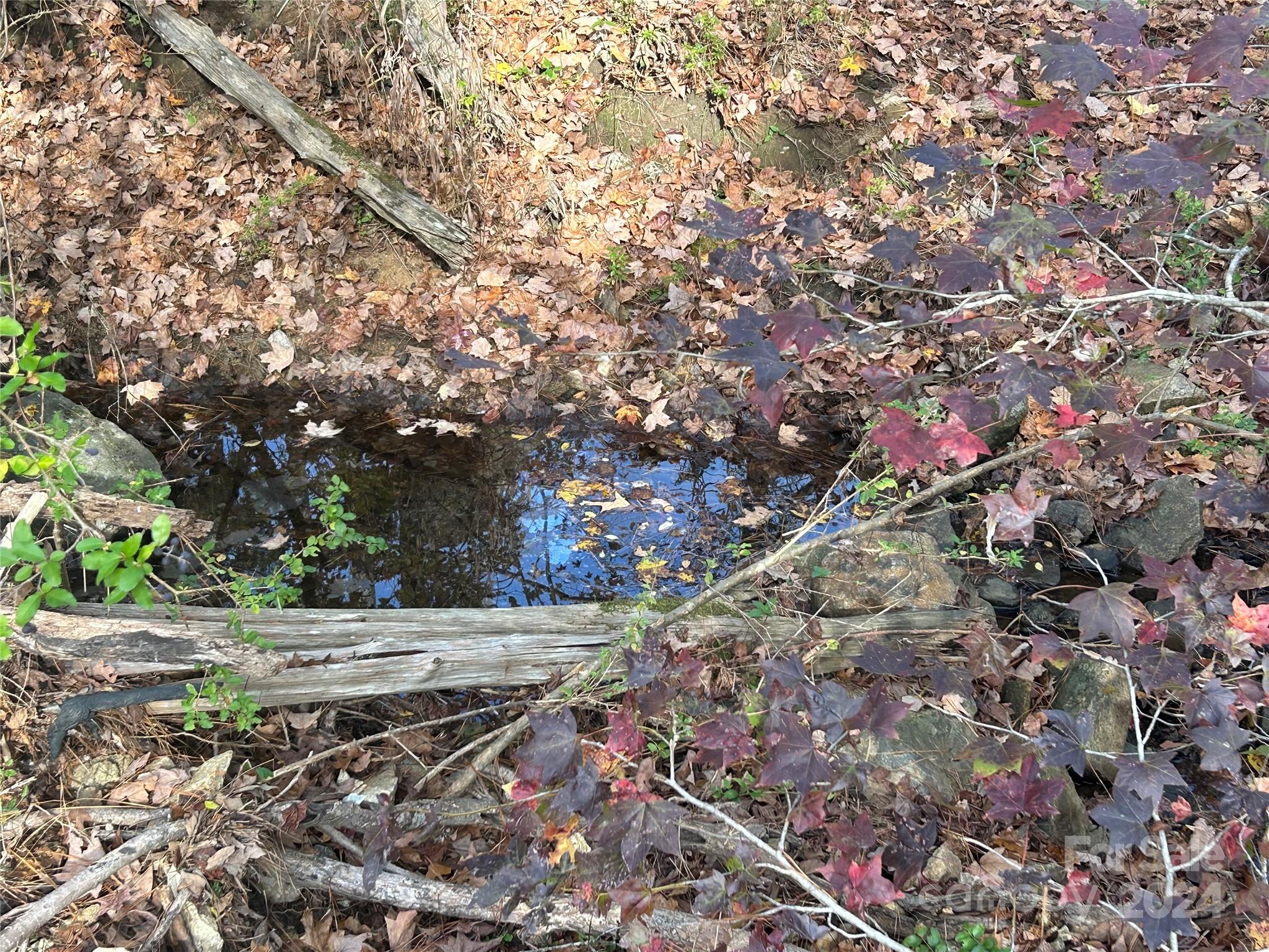 14 Ac Quail Hollow Circle Property Photo 4
