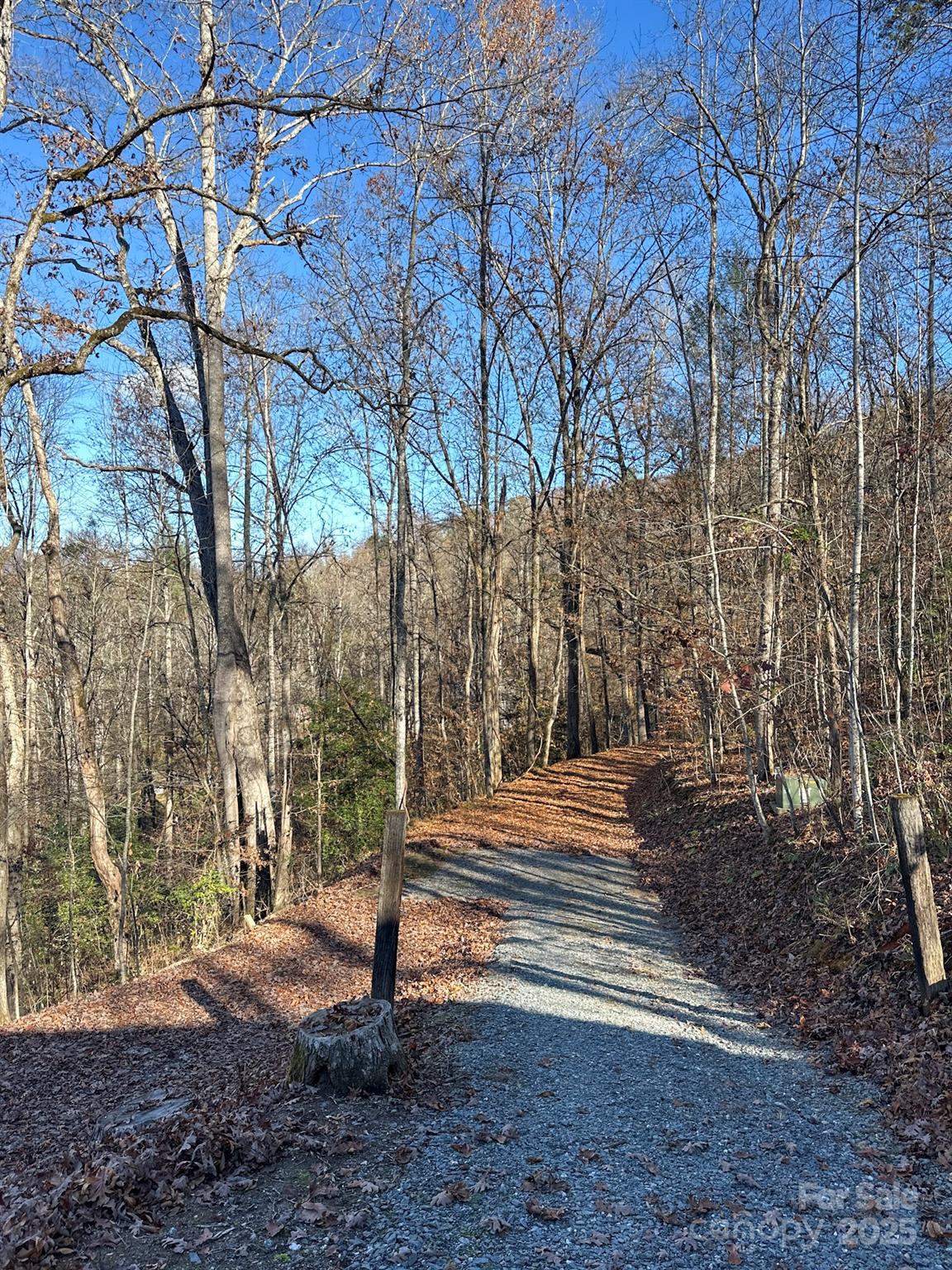 383 Blue Mist Mountain Road Property Photo 31
