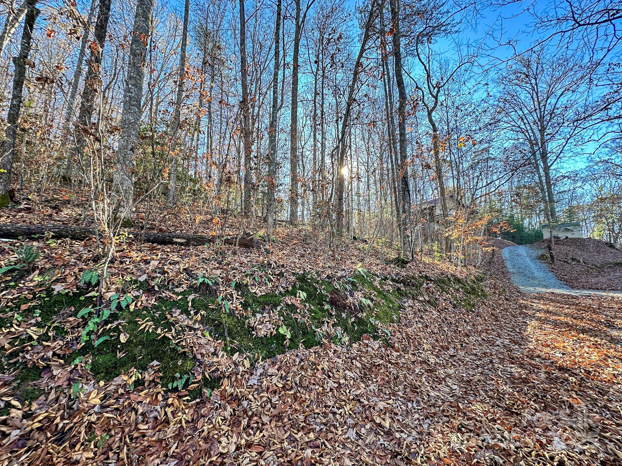 383 Blue Mist Mountain Road Property Photo 32