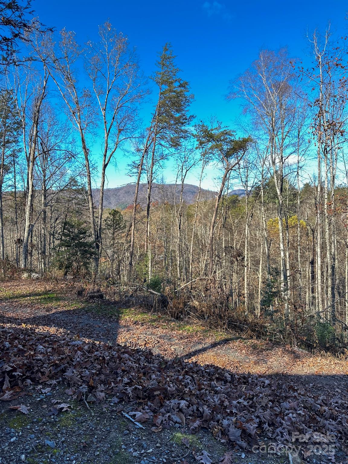 383 Blue Mist Mountain Road Property Photo 33
