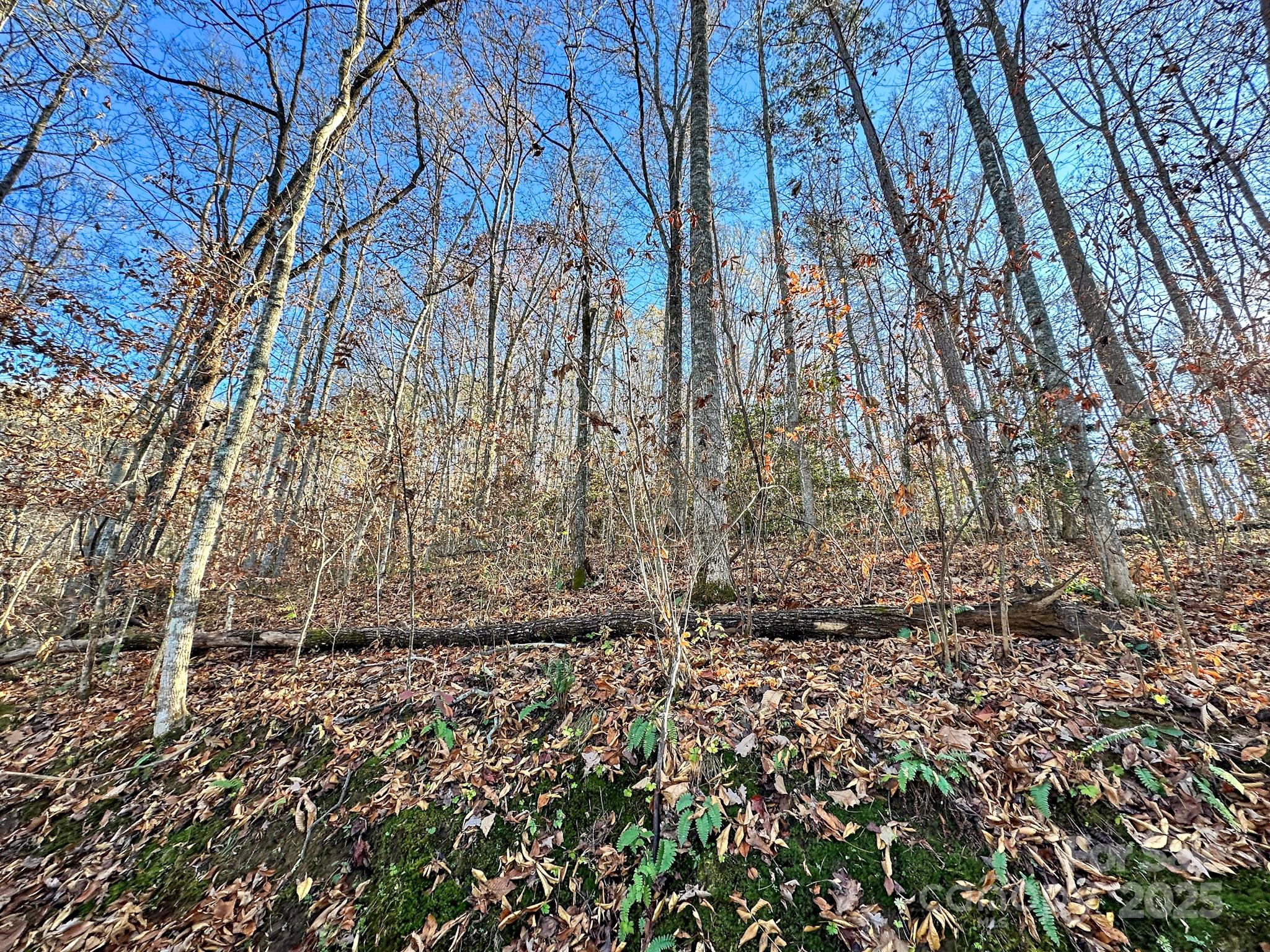 383 Blue Mist Mountain Road Property Photo 34