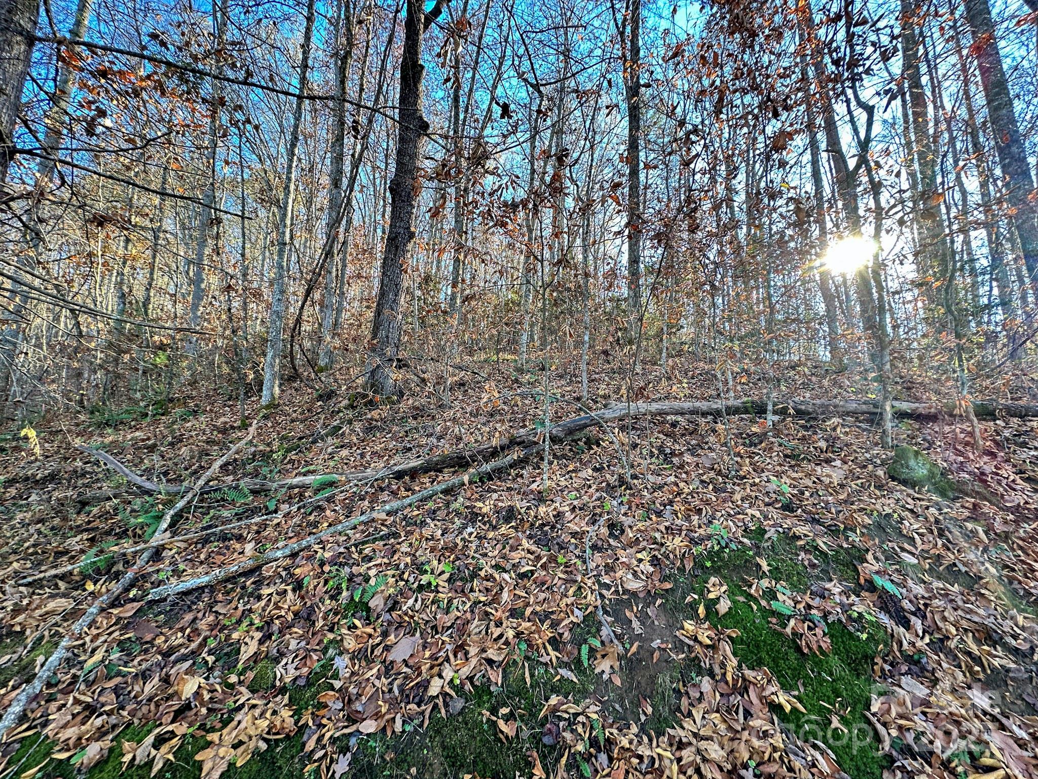 383 Blue Mist Mountain Road Property Photo 35