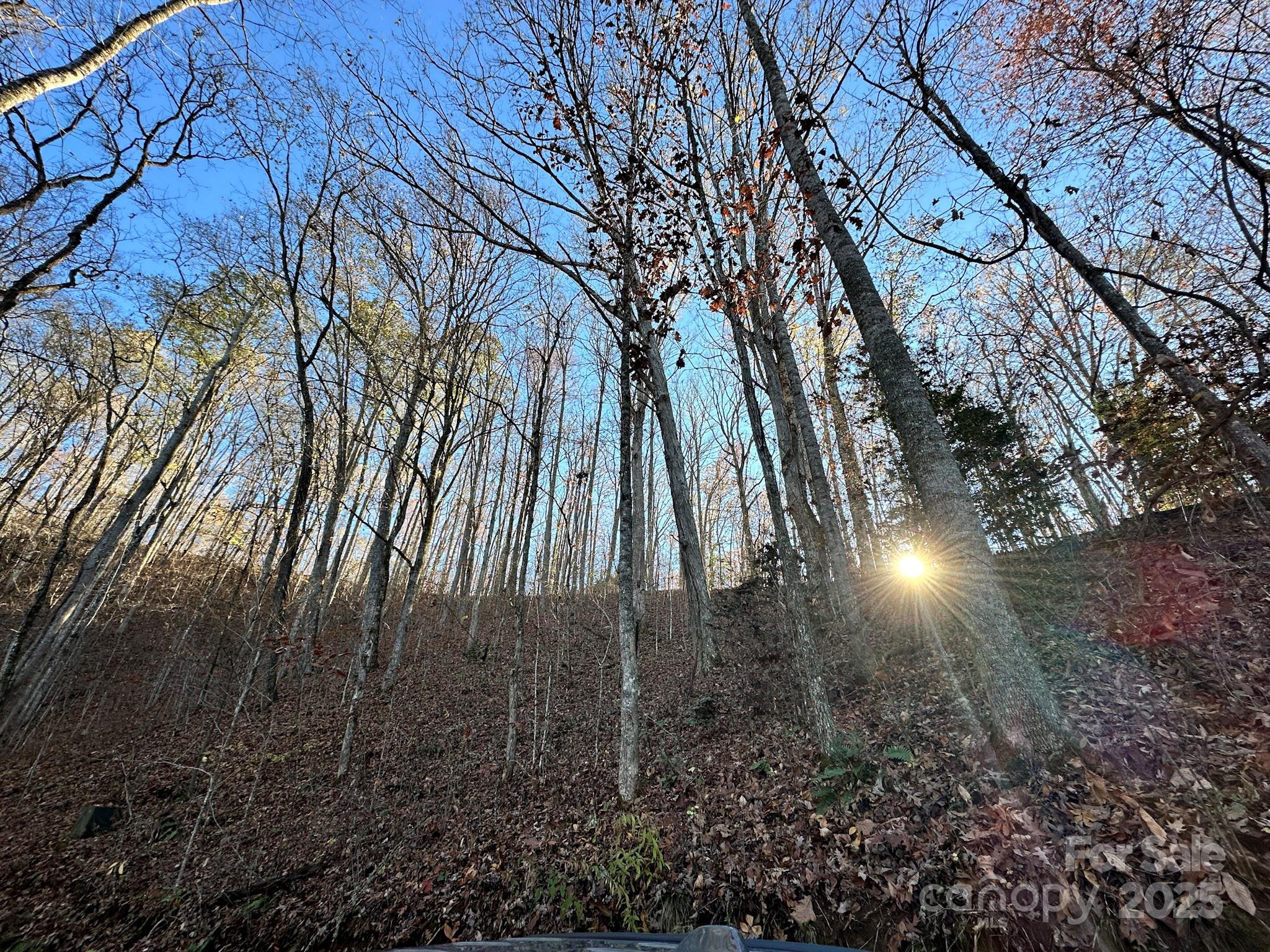 383 Blue Mist Mountain Road Property Photo 36
