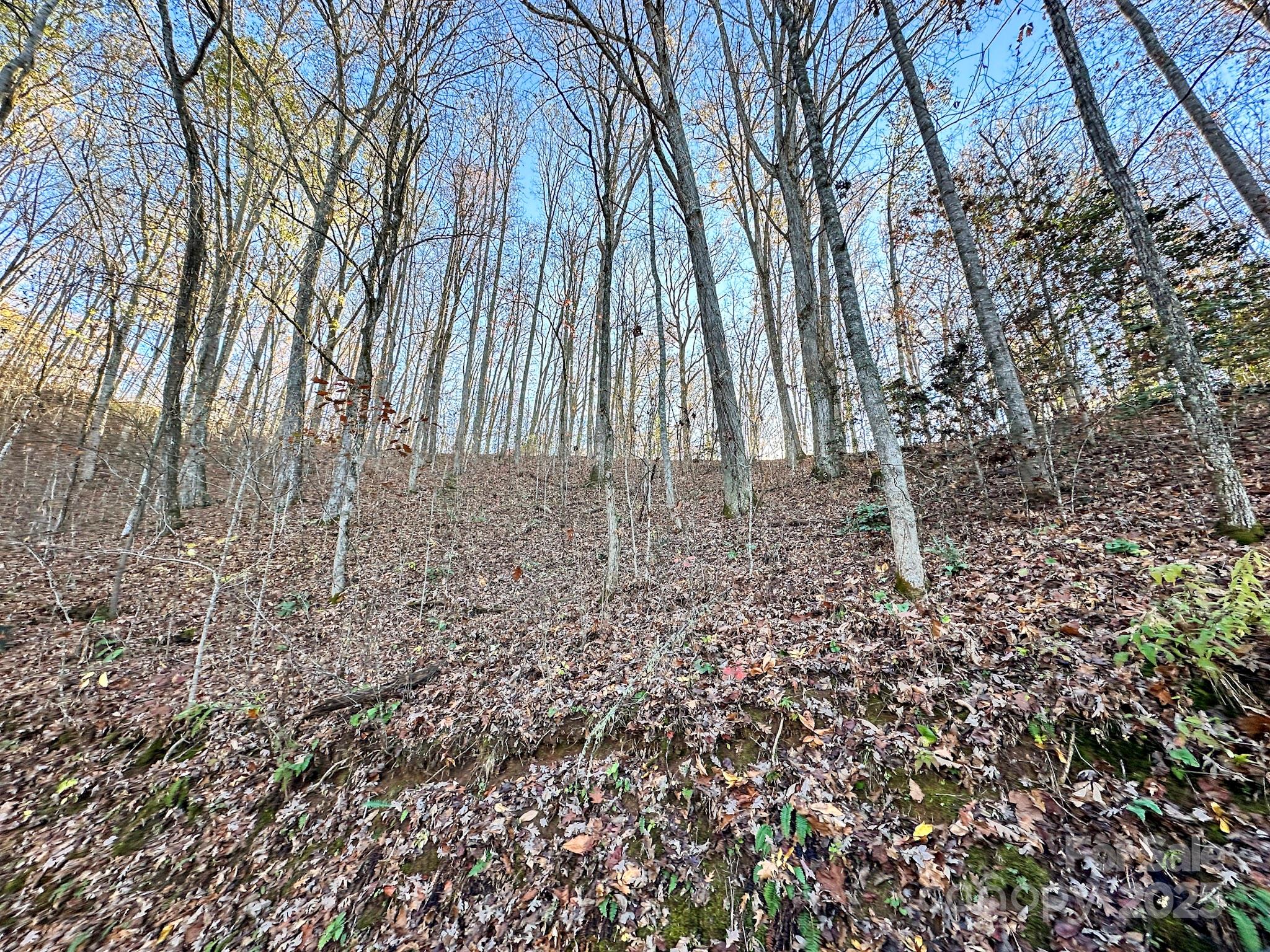 383 Blue Mist Mountain Road Property Photo 37