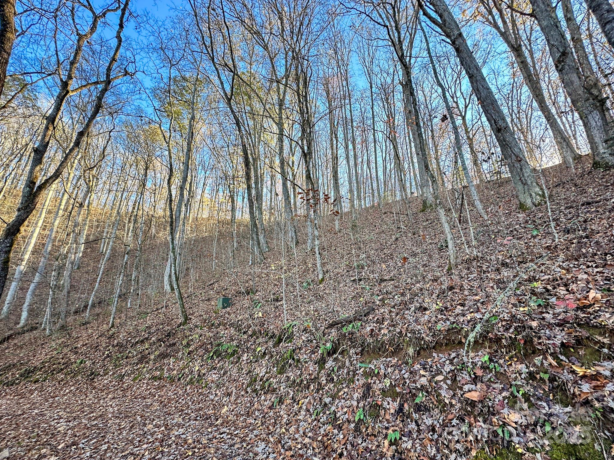 383 Blue Mist Mountain Road Property Photo 38