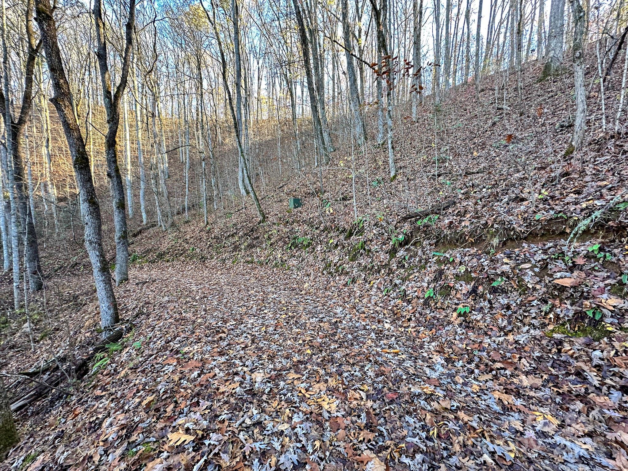 383 Blue Mist Mountain Road Property Photo 39