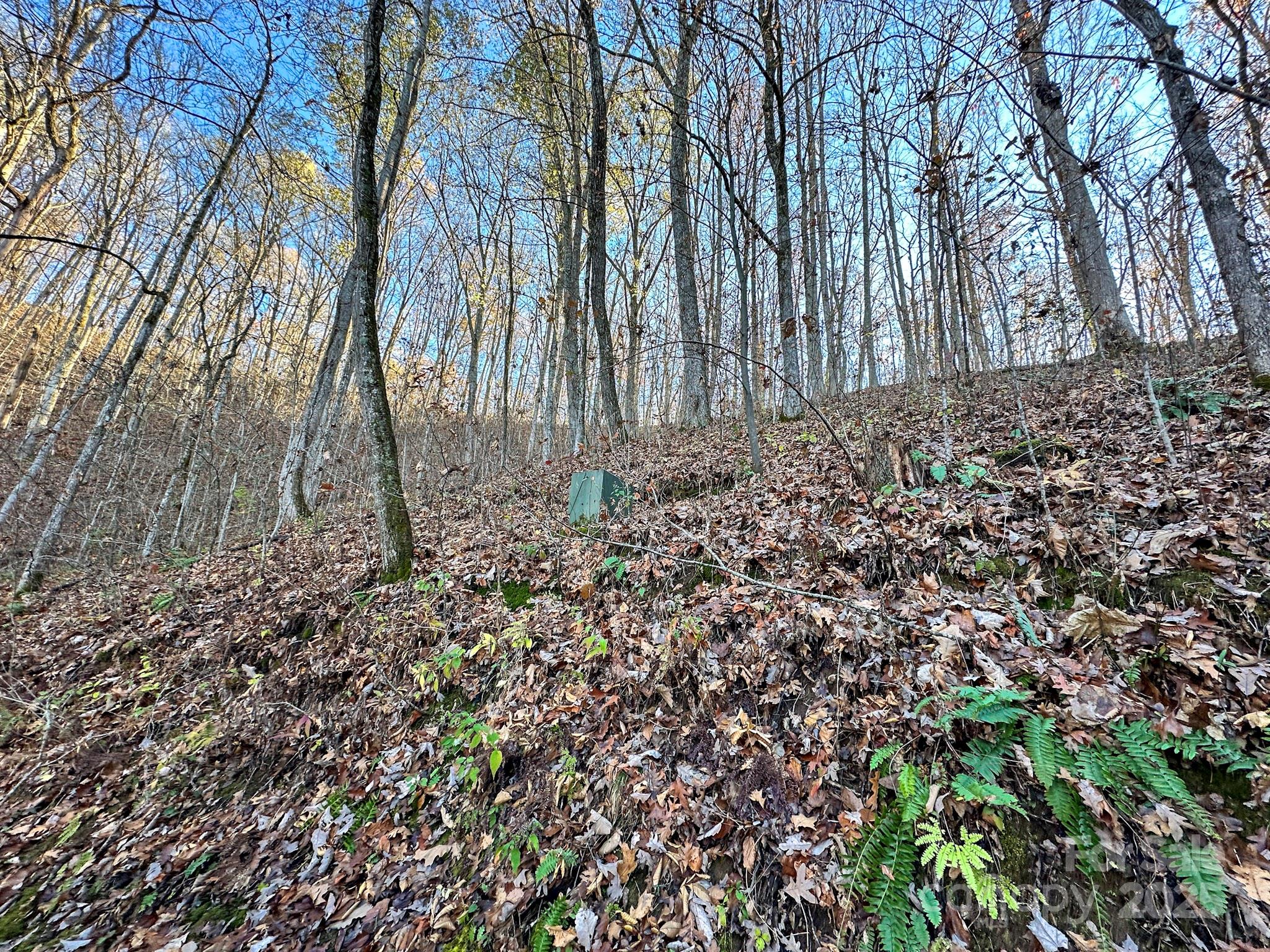 383 Blue Mist Mountain Road Property Photo 43