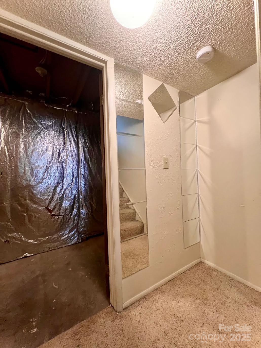 7324 Pebblestone Drive F Property Photo 16
