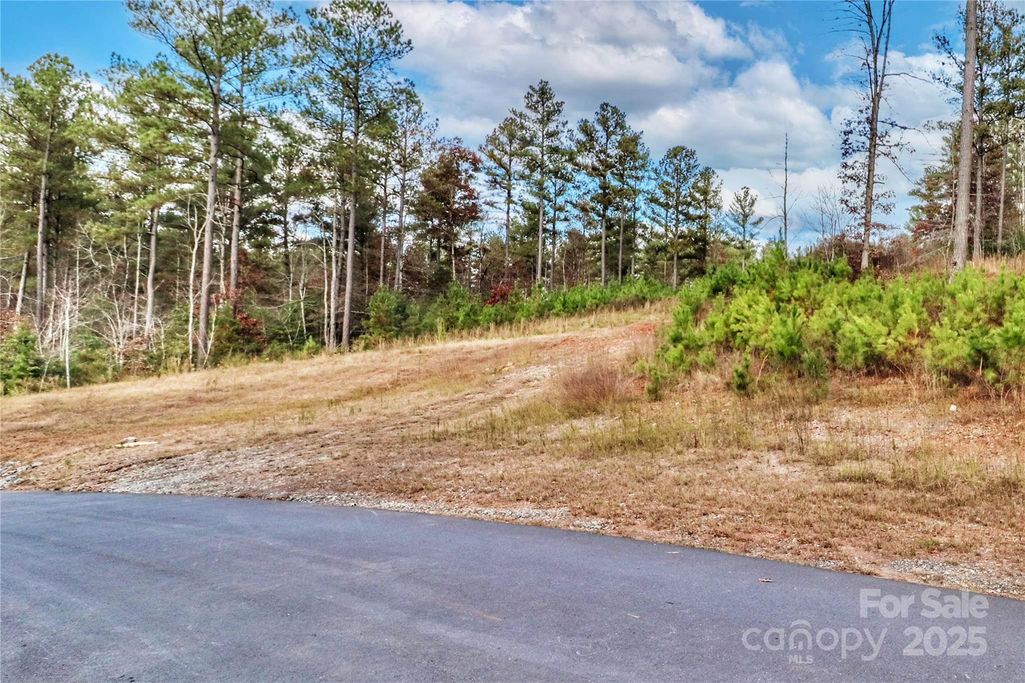 0000 Scenic Lane 173 Property Photo 11