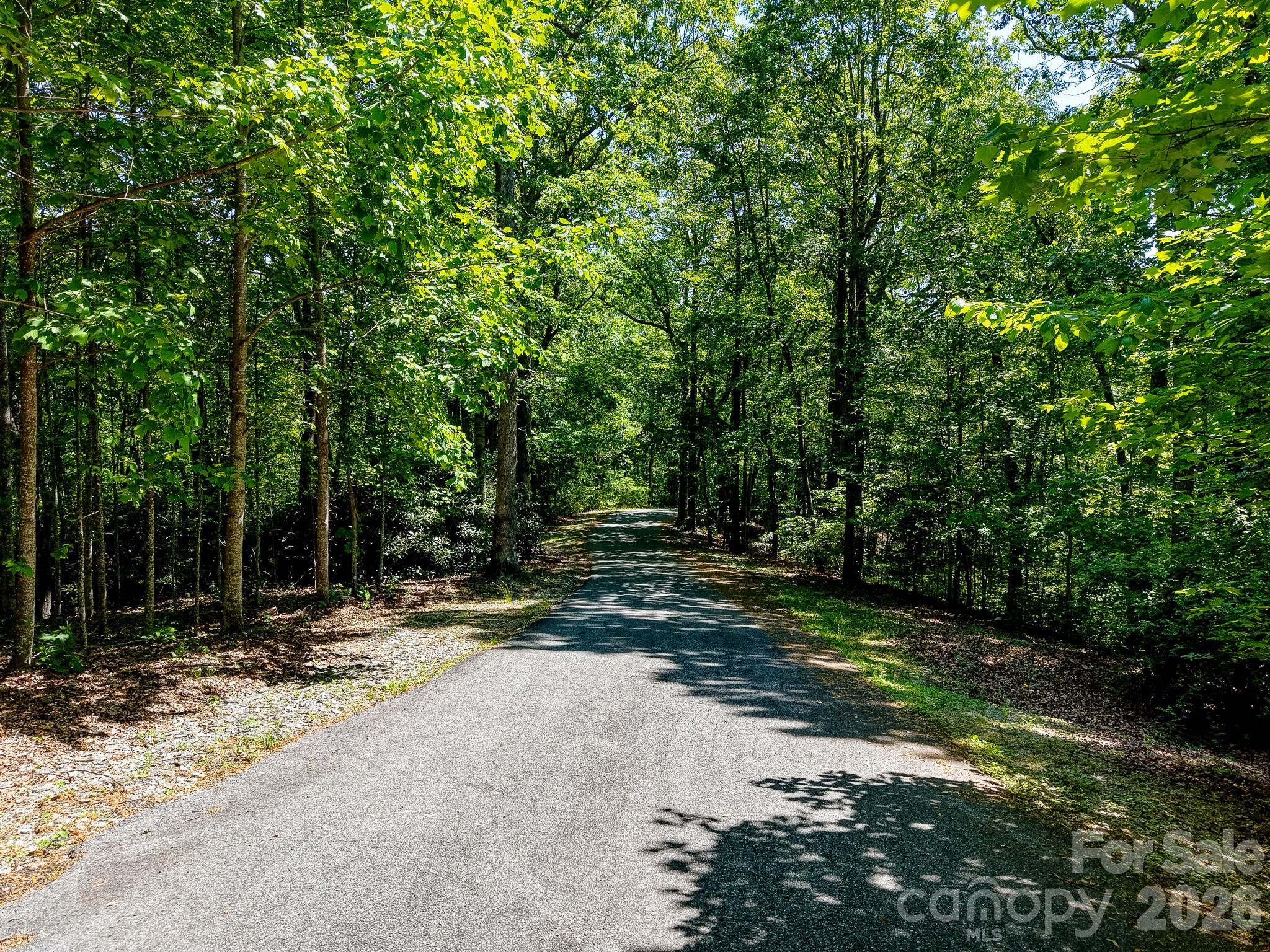 99999 Black Bear Ridge Trail 27 Property Photo 1