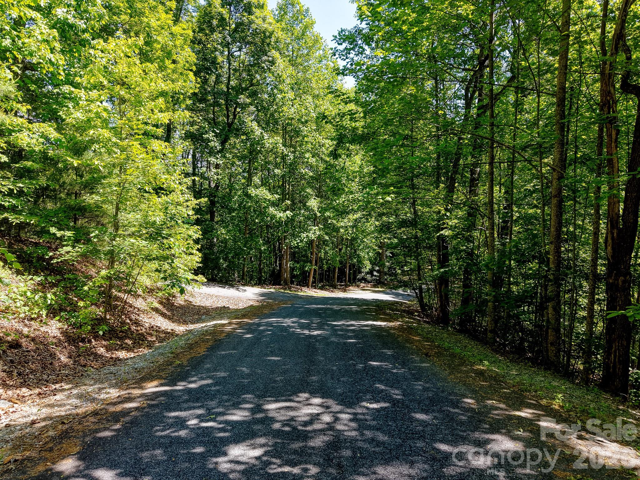 99999 Black Bear Ridge Trail 27 Property Photo 4