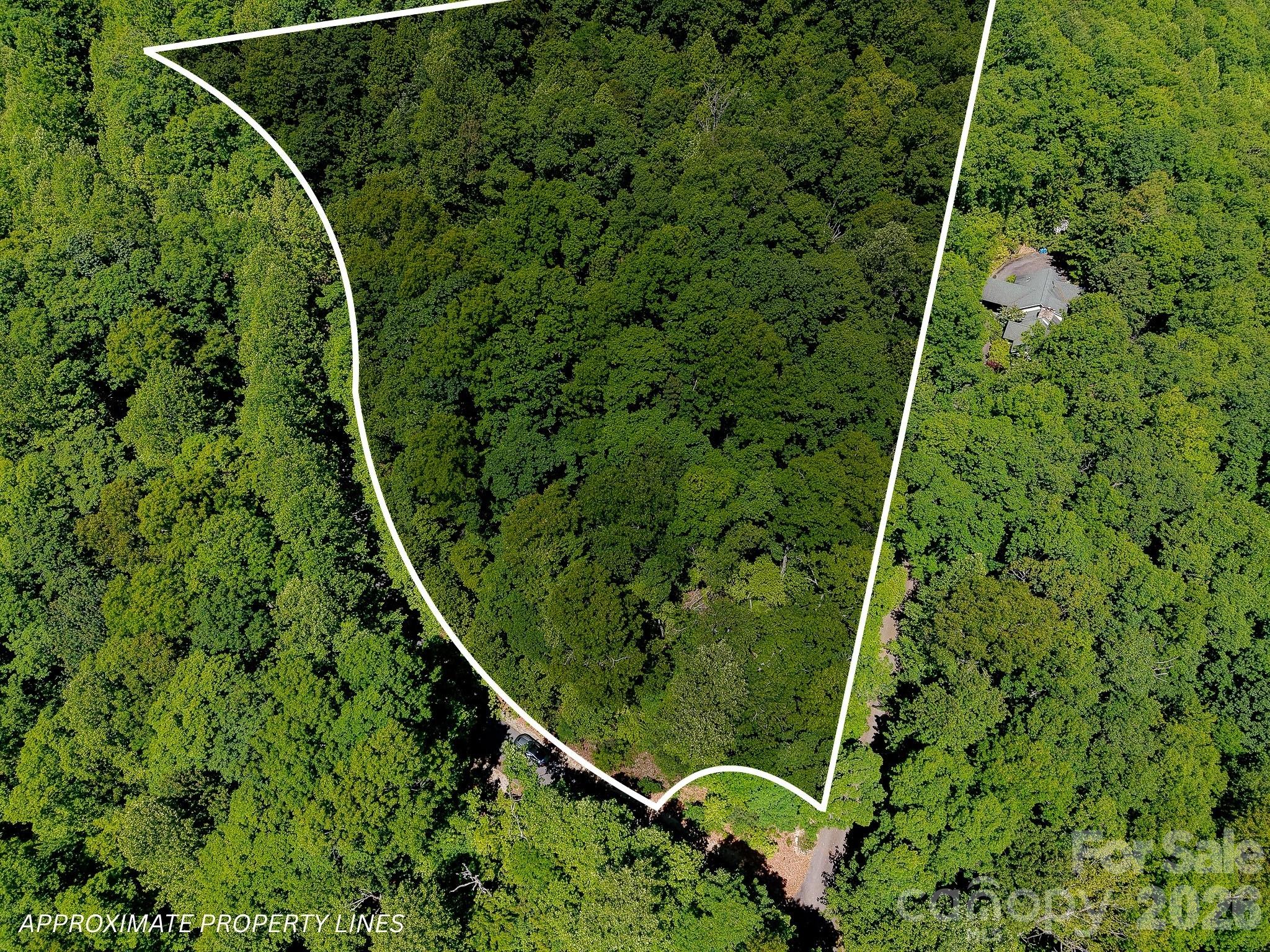 99999 Black Bear Ridge Trail 27 Property Photo 11