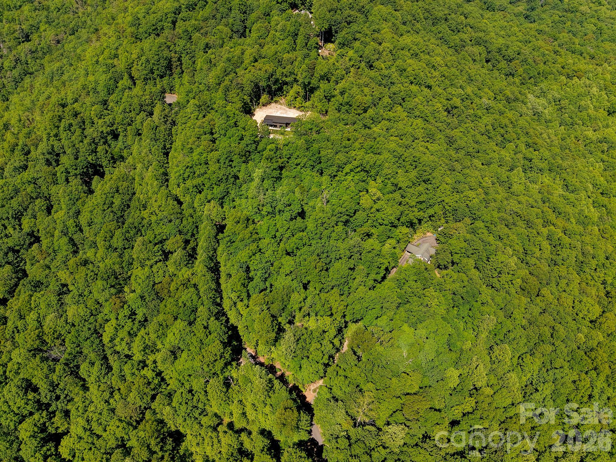 99999 Black Bear Ridge Trail 27 Property Photo 13