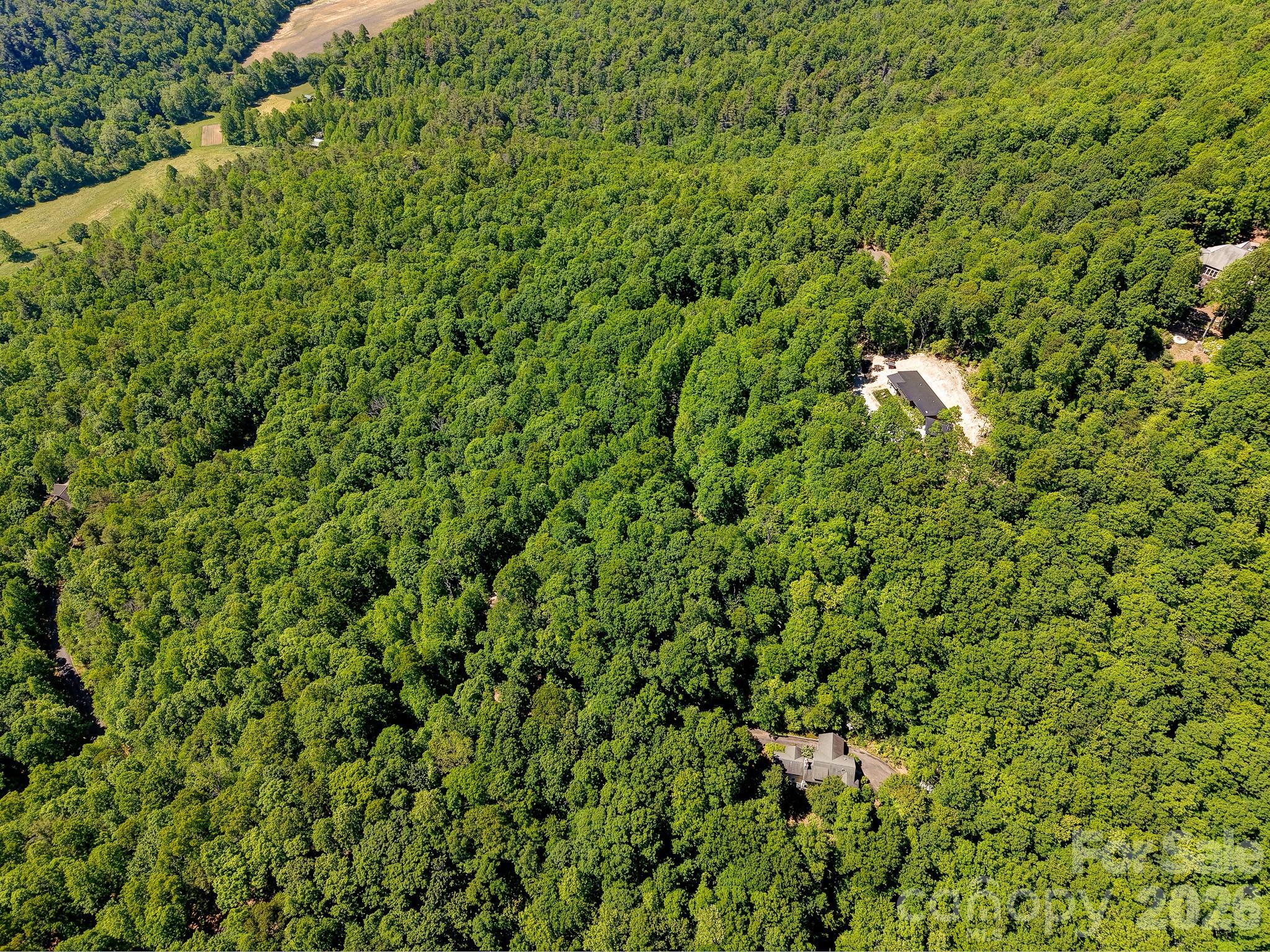 99999 Black Bear Ridge Trail 27 Property Photo 14
