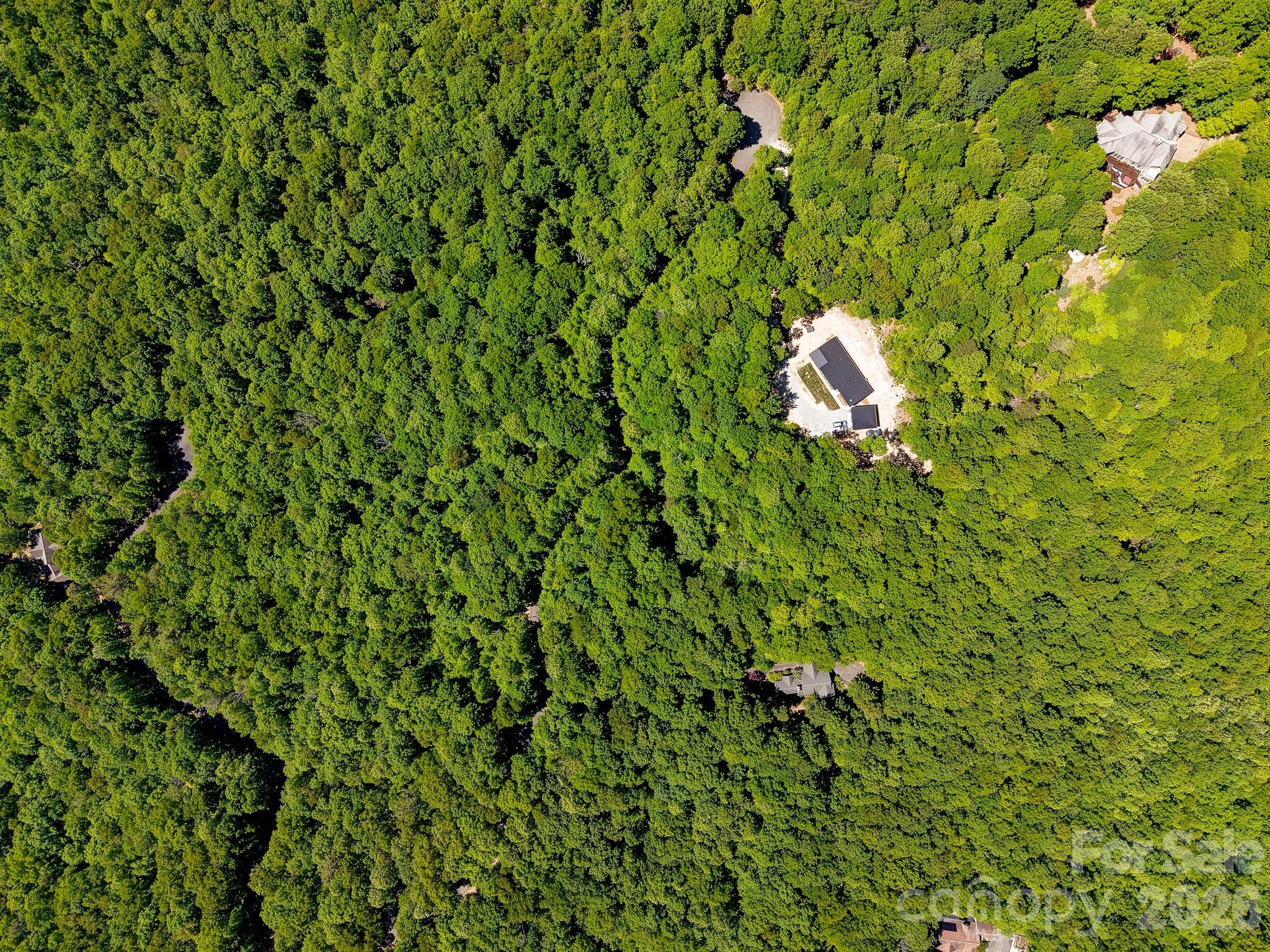 99999 Black Bear Ridge Trail 27 Property Photo 18