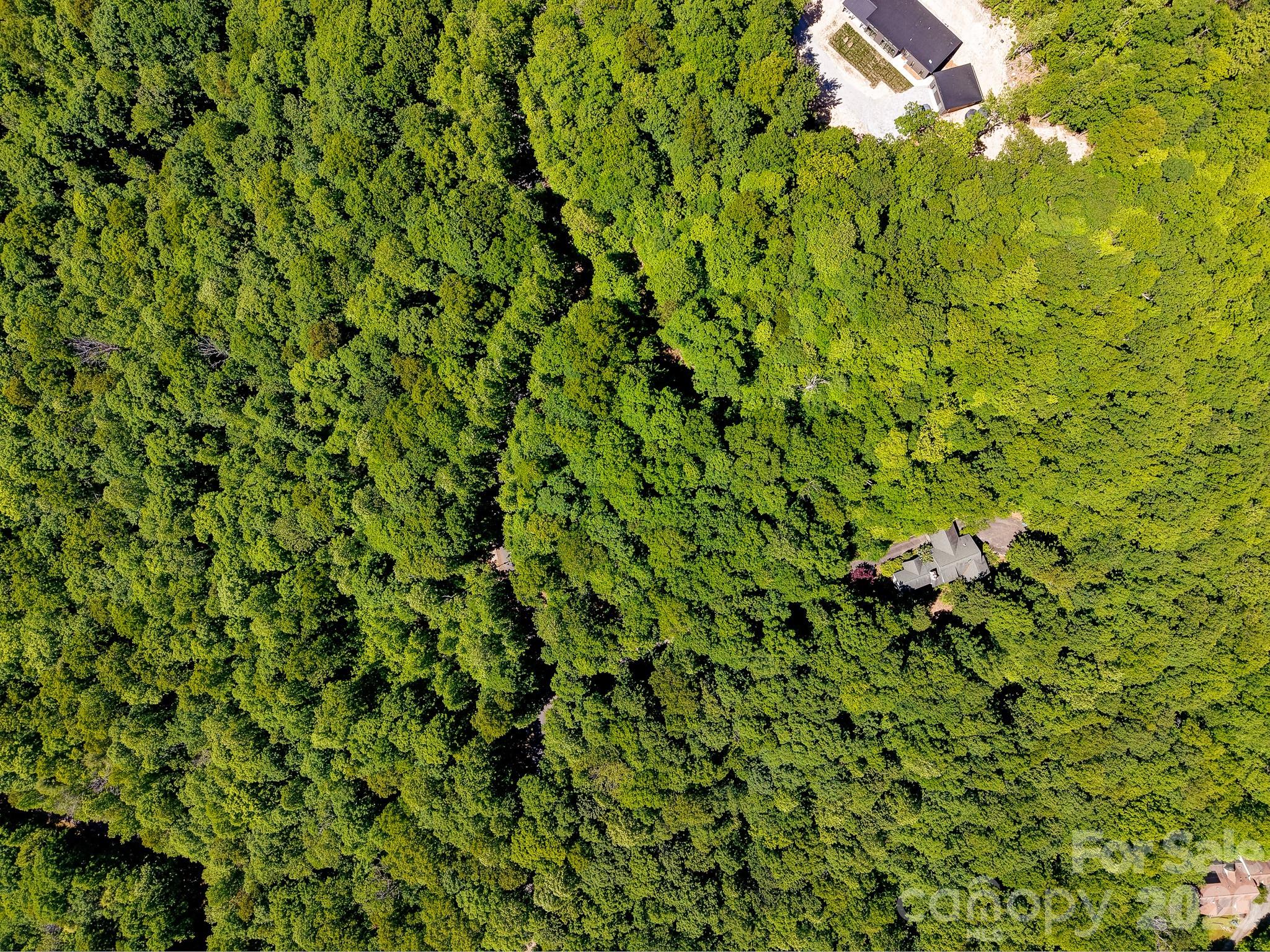 99999 Black Bear Ridge Trail 27 Property Photo 20