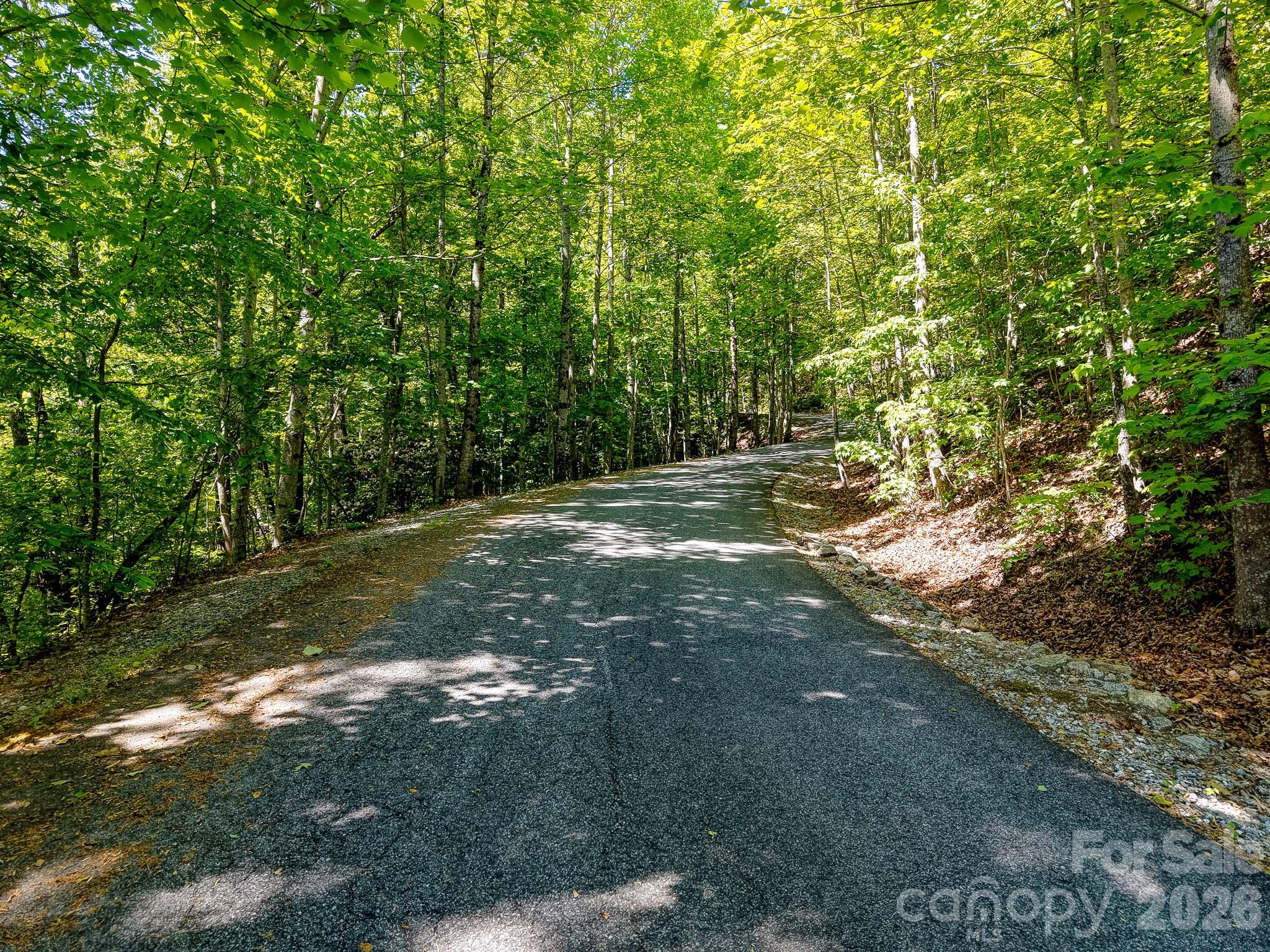 99999 Black Bear Ridge Trail 27 Property Photo 22