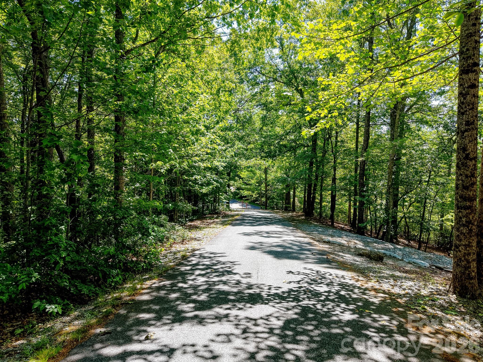 99999 Black Bear Ridge Trail 27 Property Photo 24