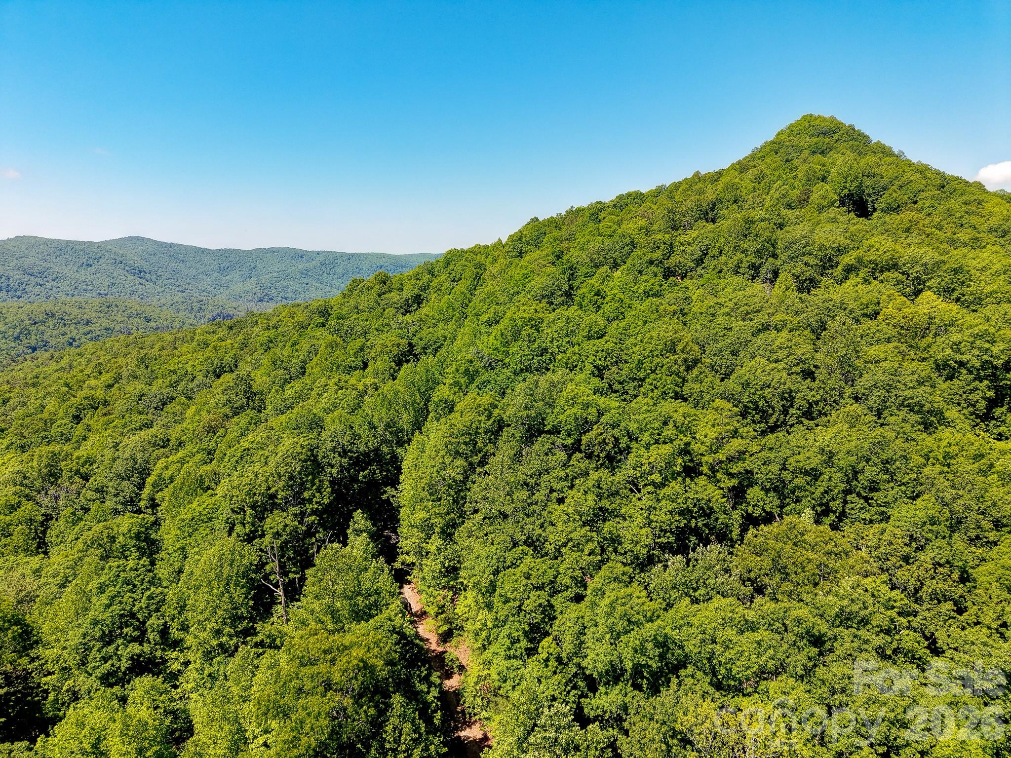 99999 Black Bear Ridge Trail 27 Property Photo 25