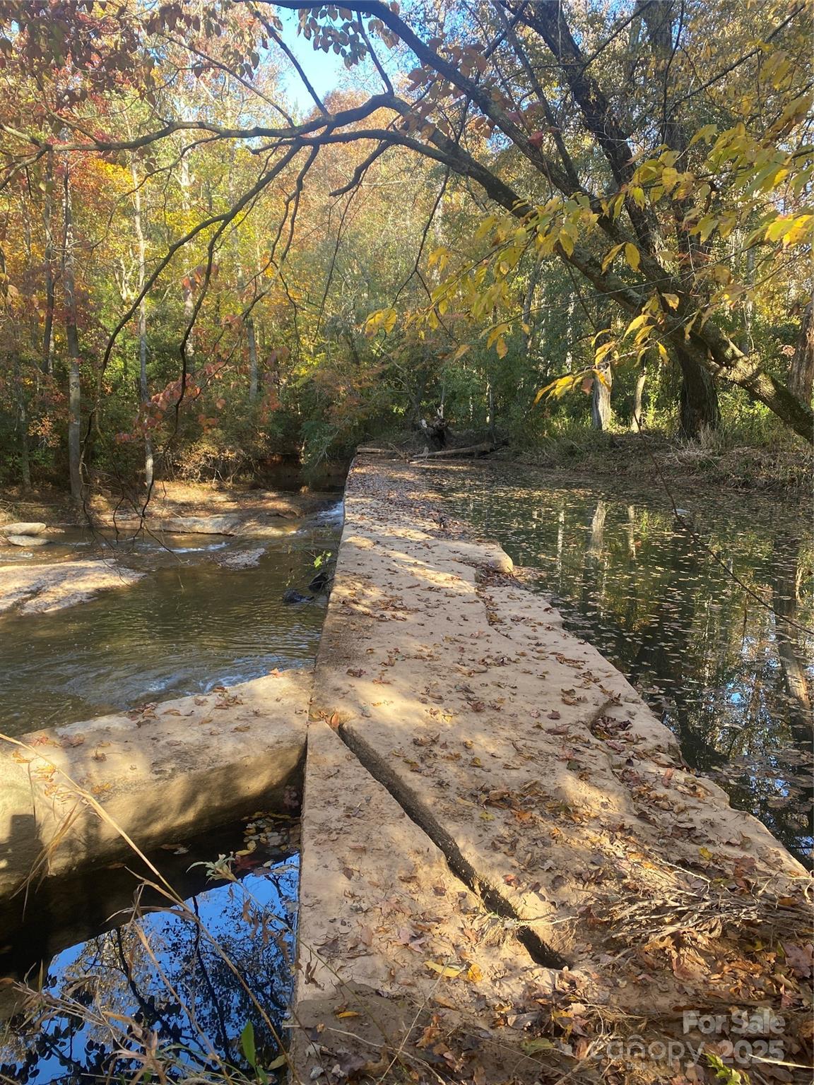 2818 Rockford Road Property Photo 30