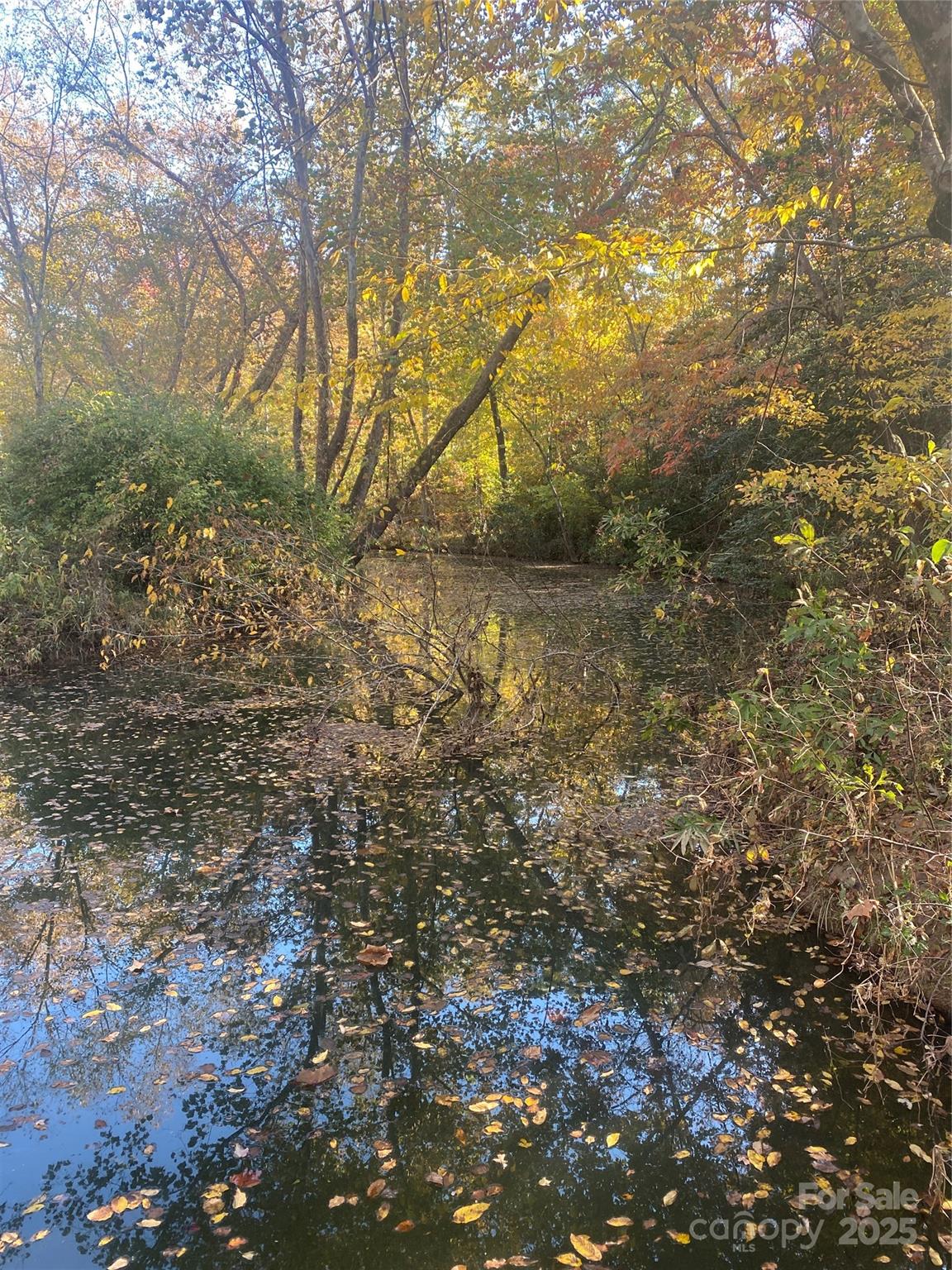 2818 Rockford Road Property Photo 34