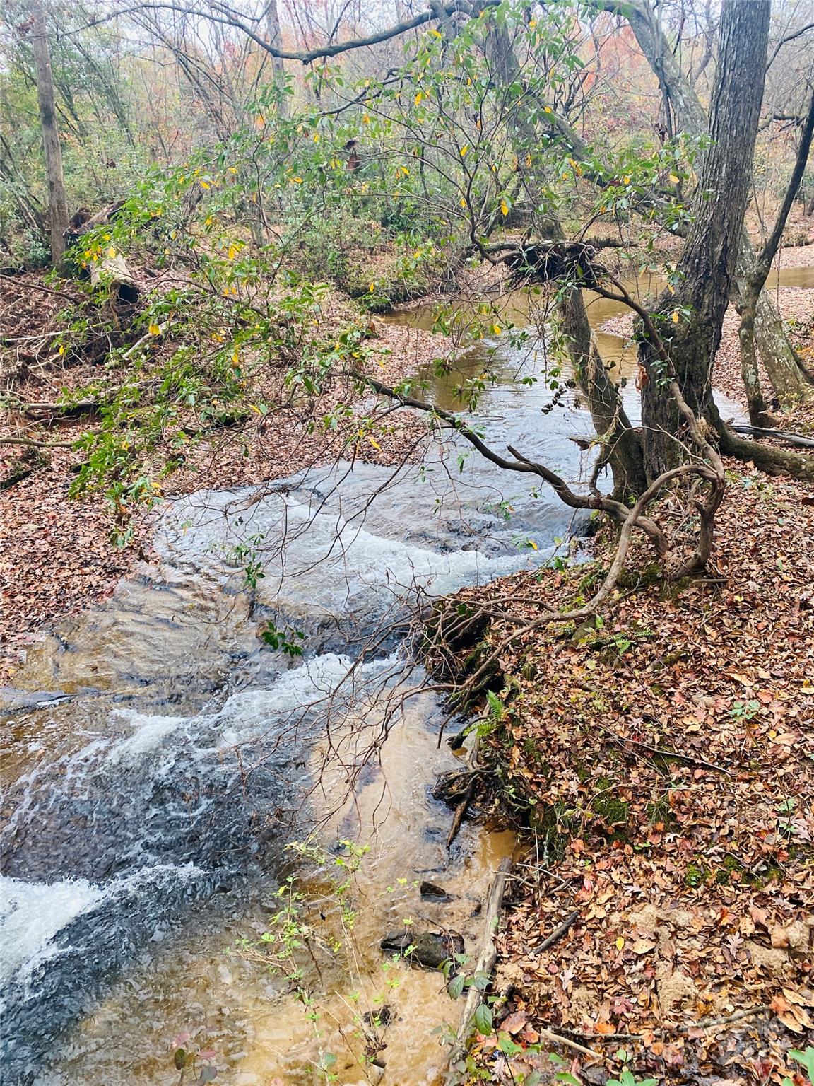 2818 Rockford Road Property Photo 39