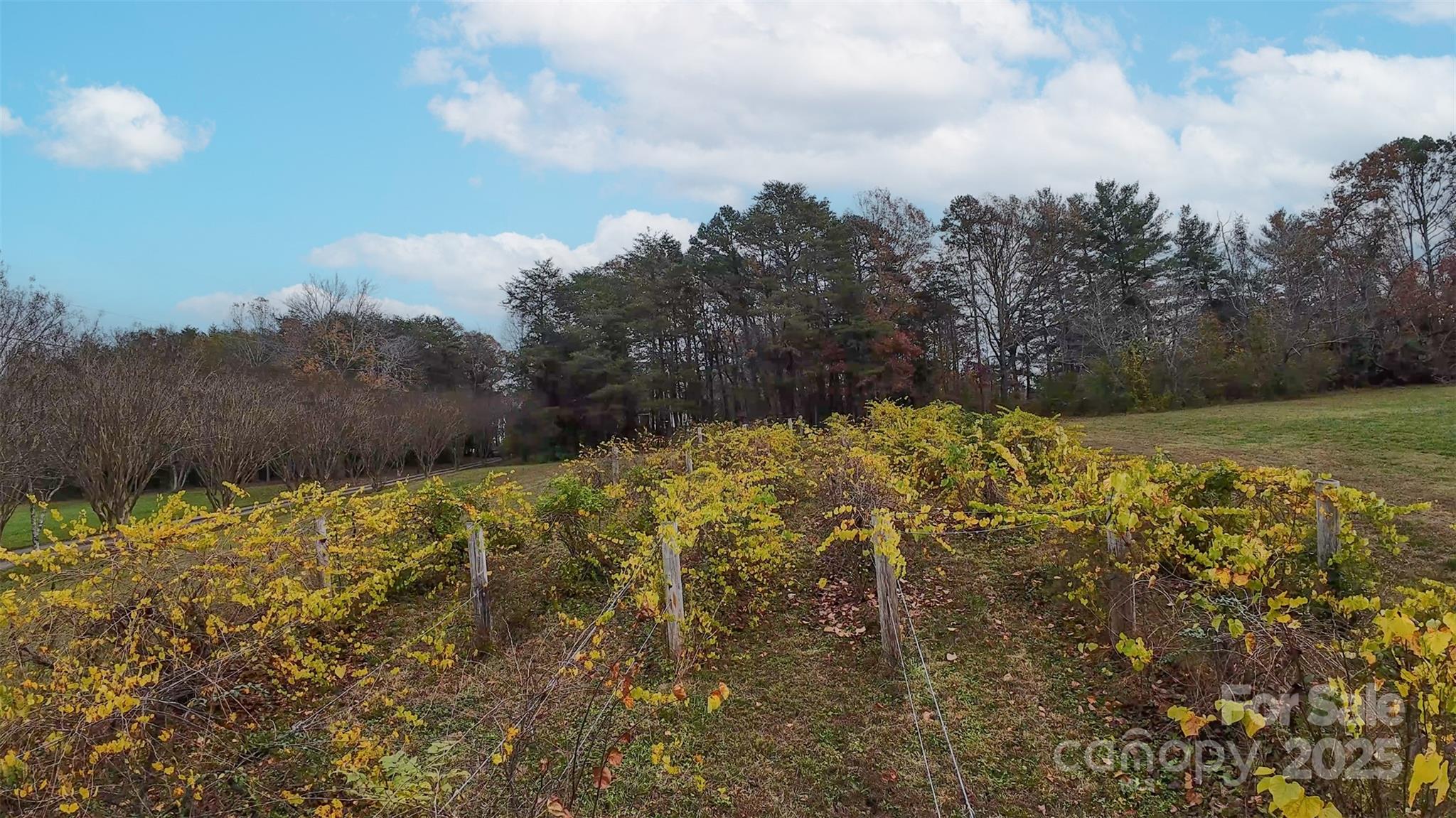 100 Steffey Lane Property Photo 13