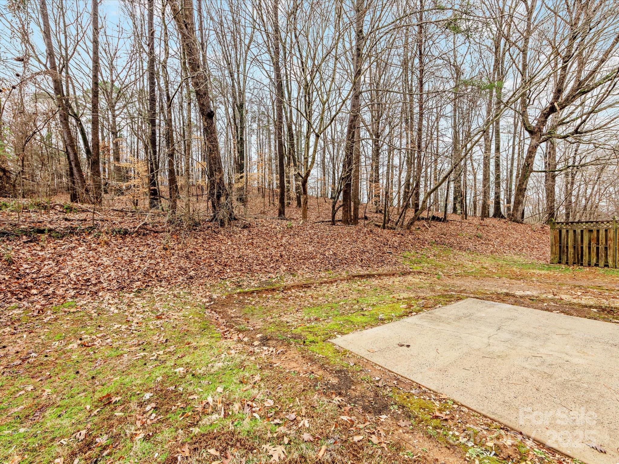 10519 Brawley Lane Property Photo 37