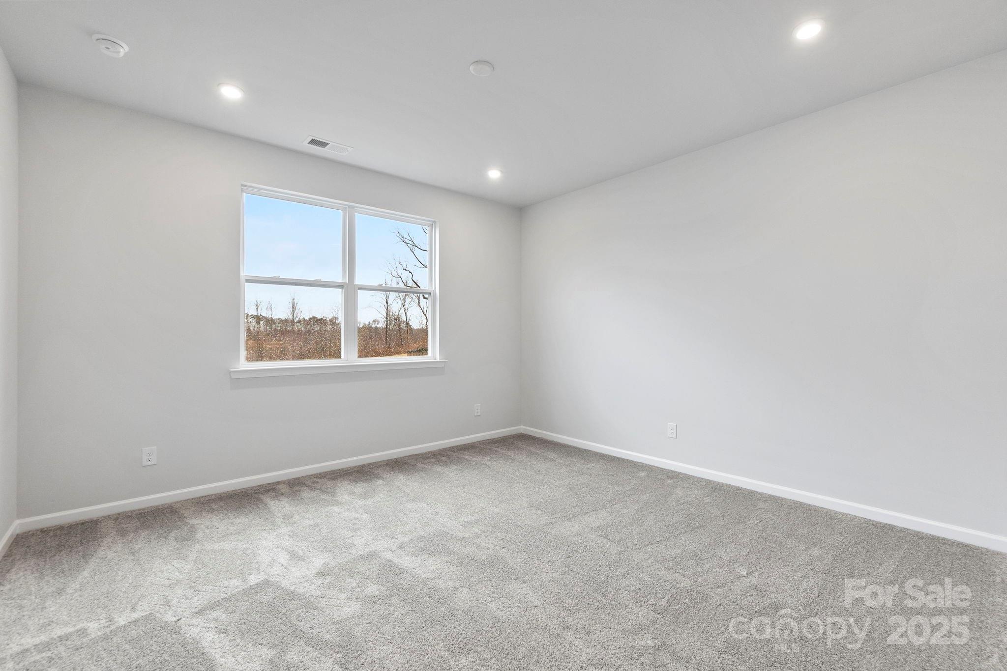 1133 Hallman Branch Lane Property Photo 11