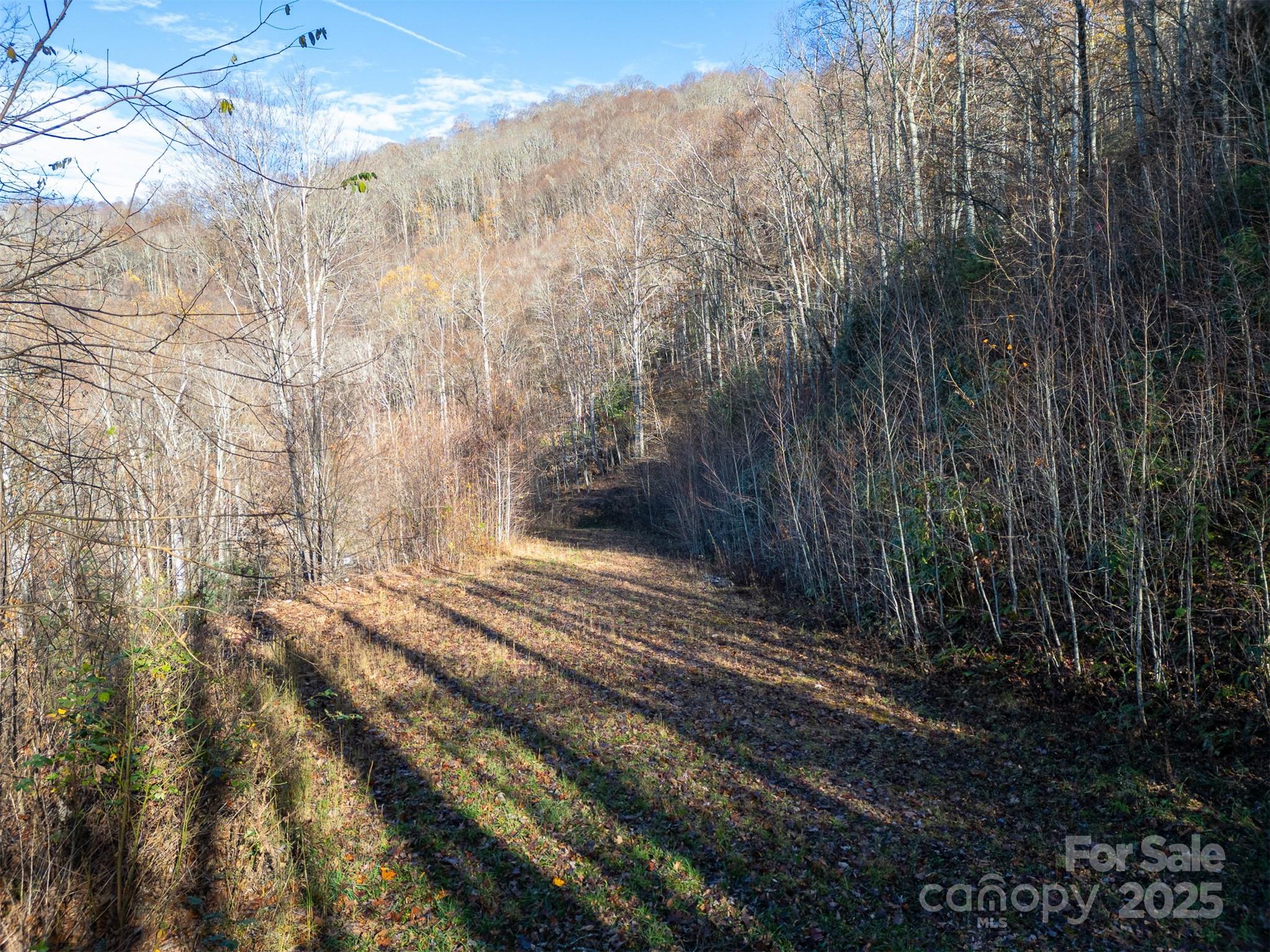 1098 Hyacinth Drive Property Photo 2