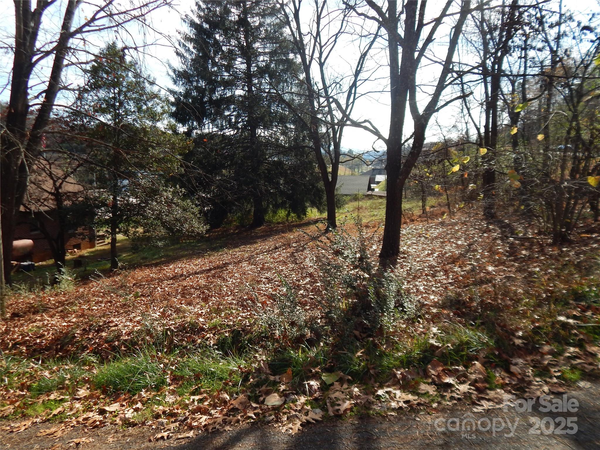 9 Chaparral Drive Property Photo 11