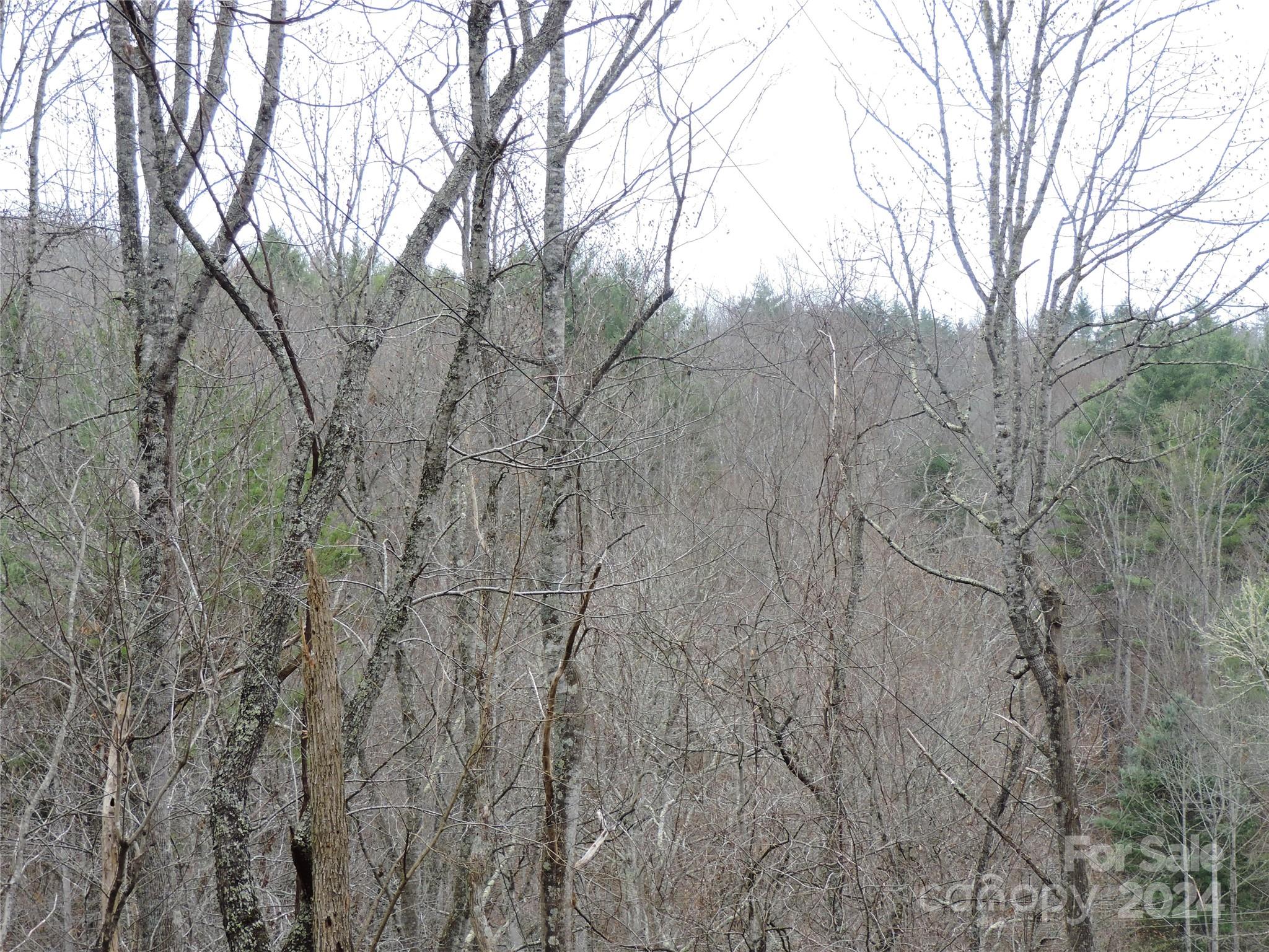 2271 Gouges Creek Road Property Photo 35