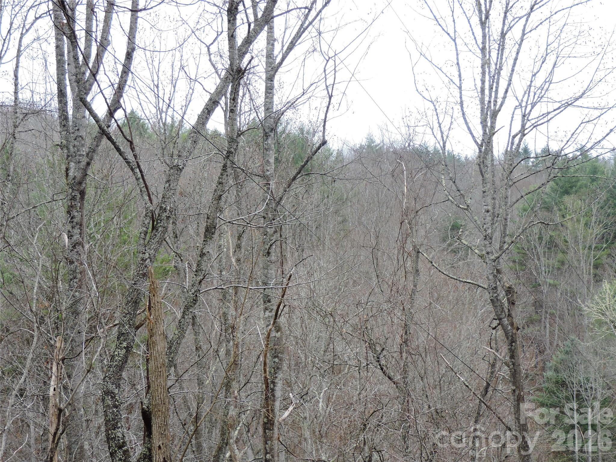 2271 Gouges Creek Road Property Photo 35