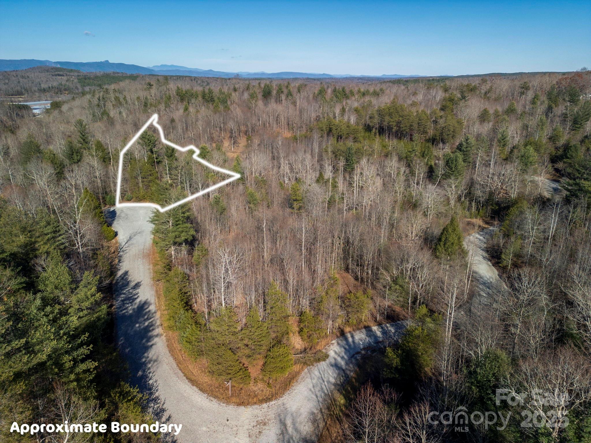 126 Blackberry Creek Property Photo 4