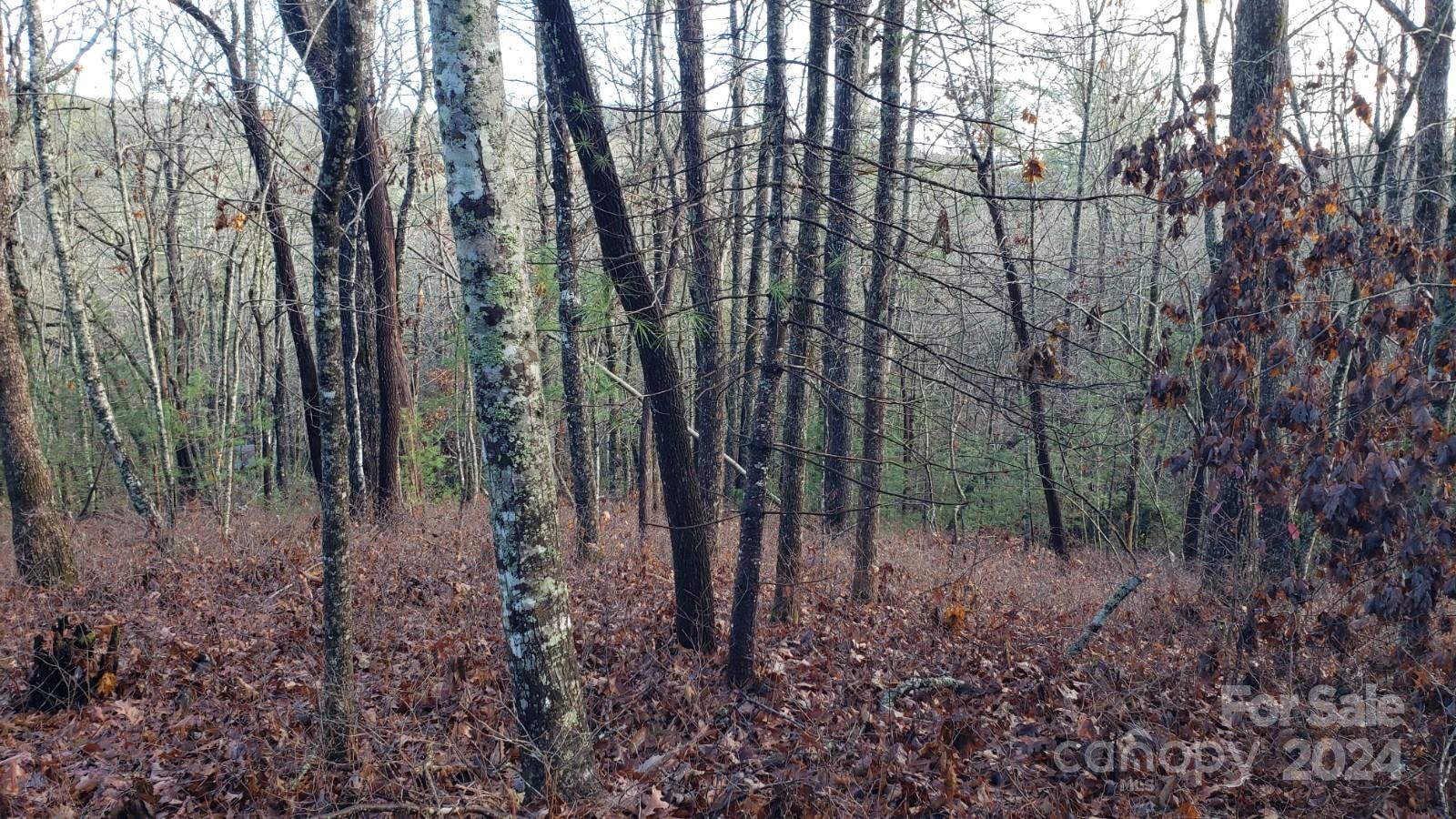 Tbd Cedar Lane Property Photo 2