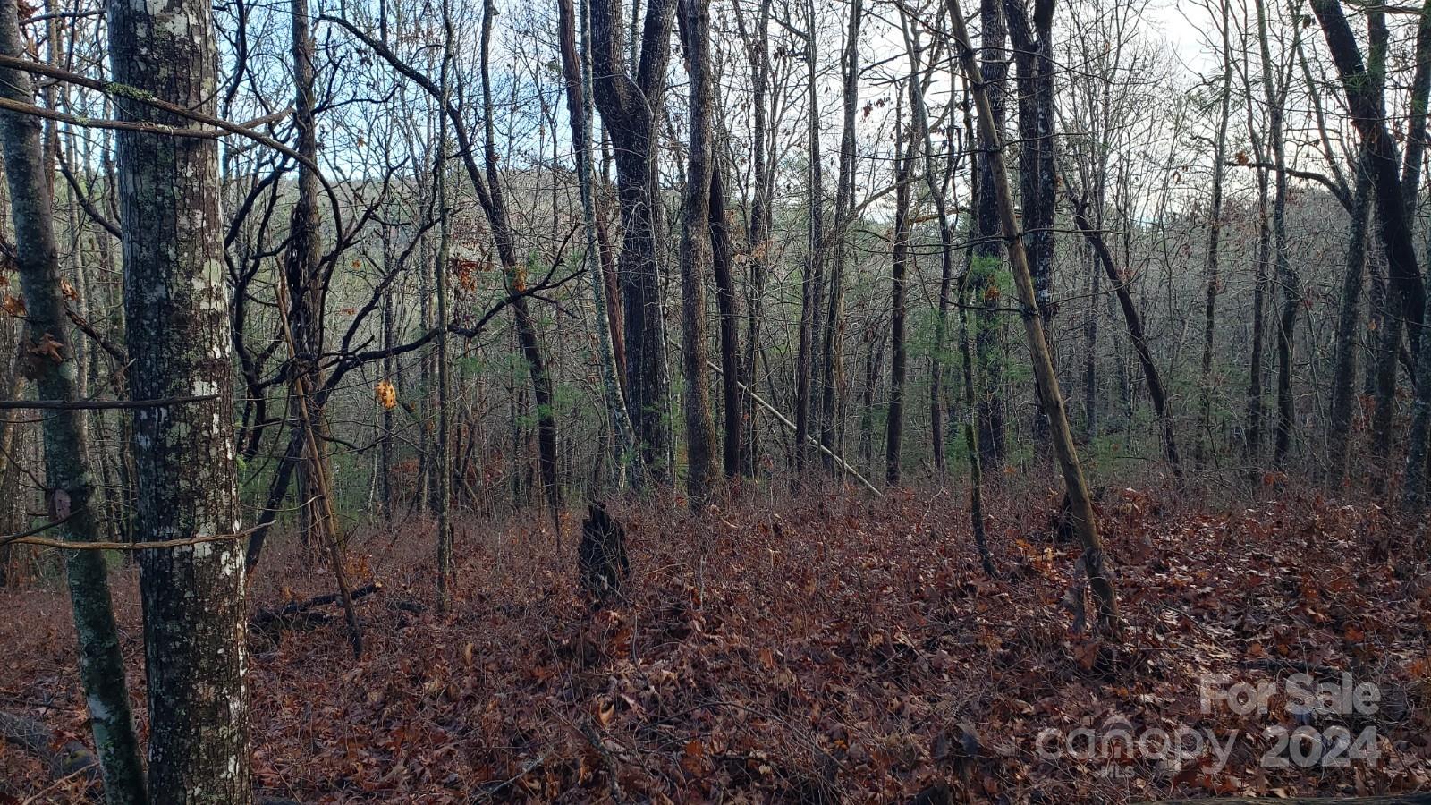 Tbd Cedar Lane Property Photo 3