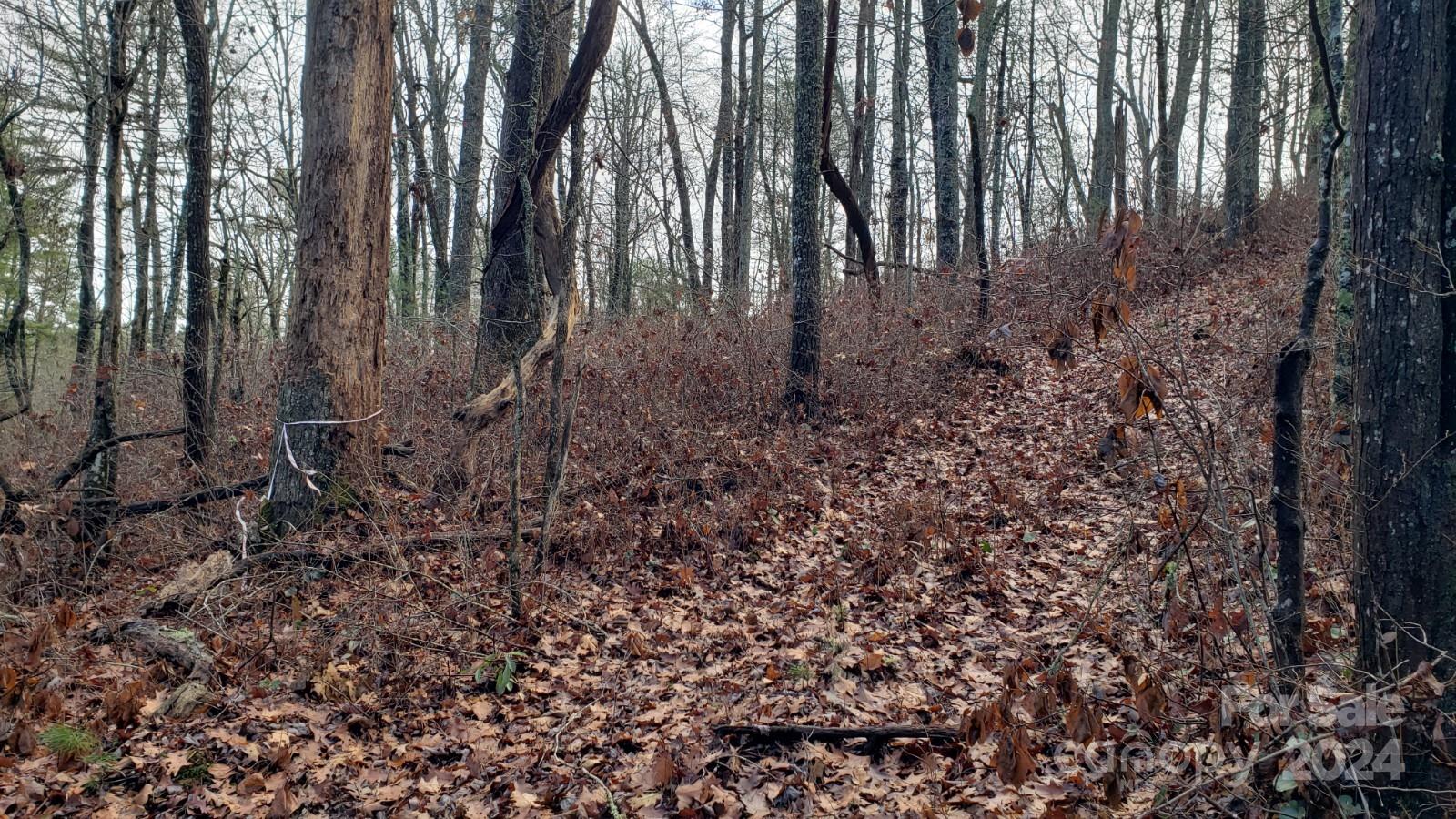 Tbd Cedar Lane Property Photo 4