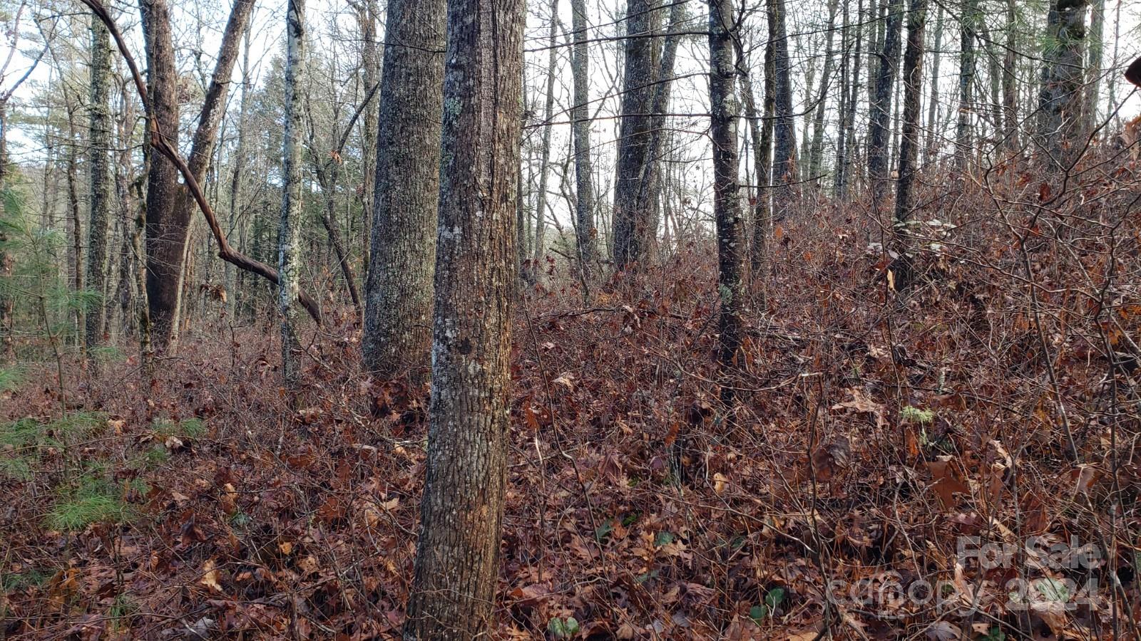 Tbd Cedar Lane Property Photo 6