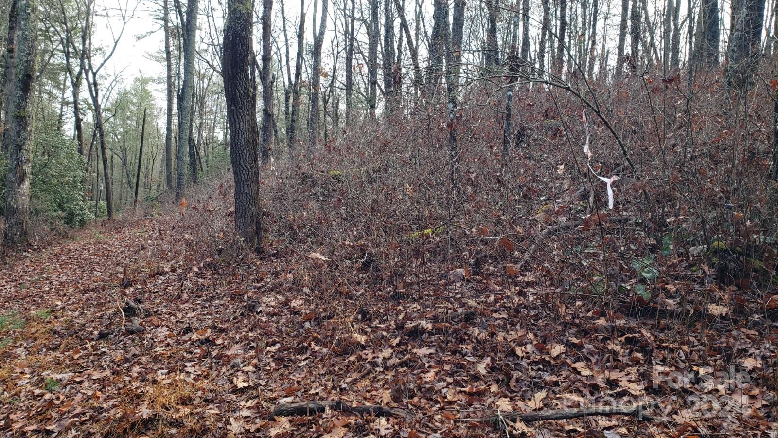 Tbd Cedar Lane Property Photo 7