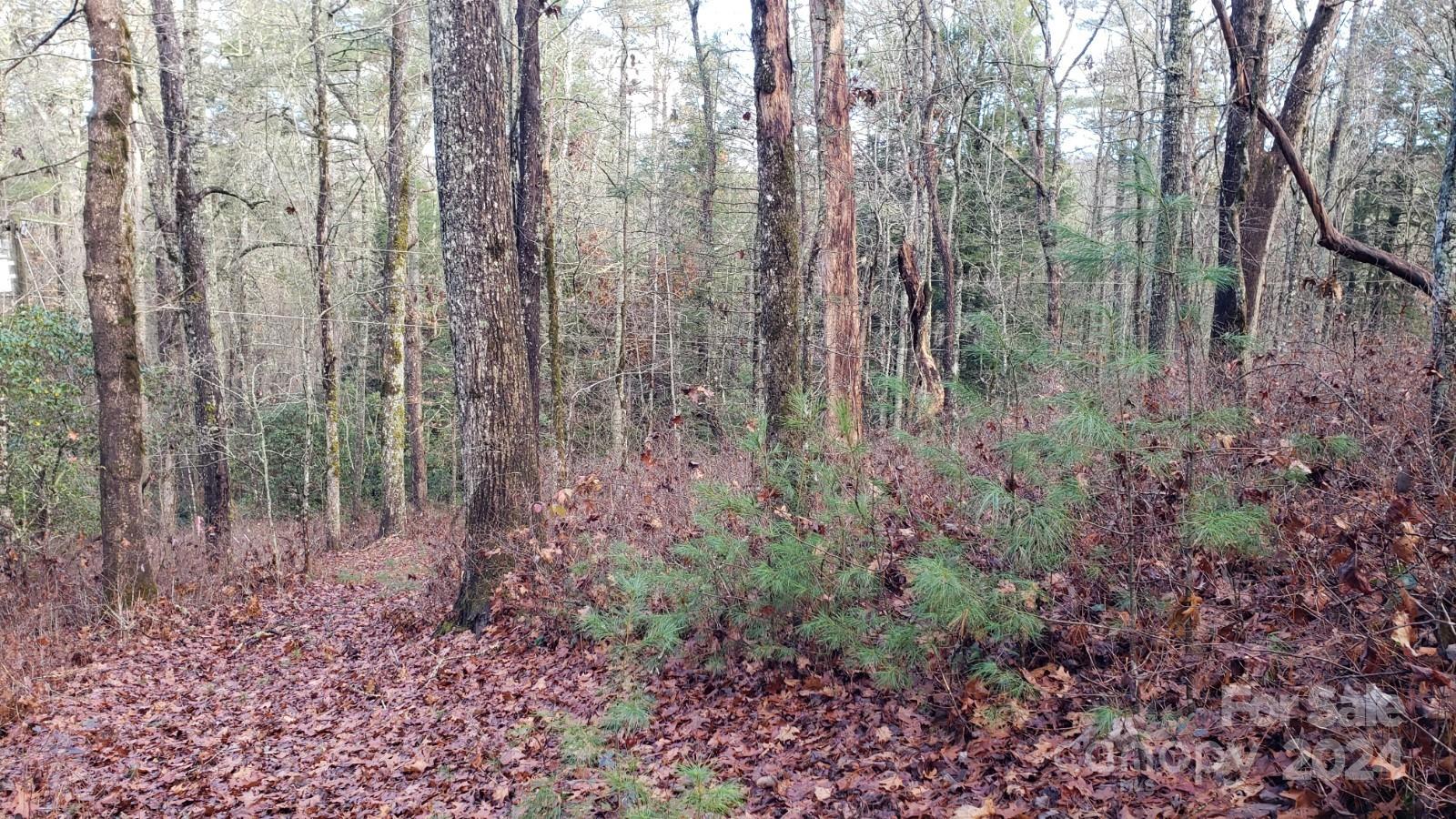 Tbd Cedar Lane Property Photo 8