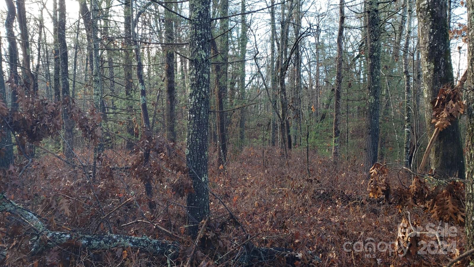 Tbd Cedar Lane Property Photo 9